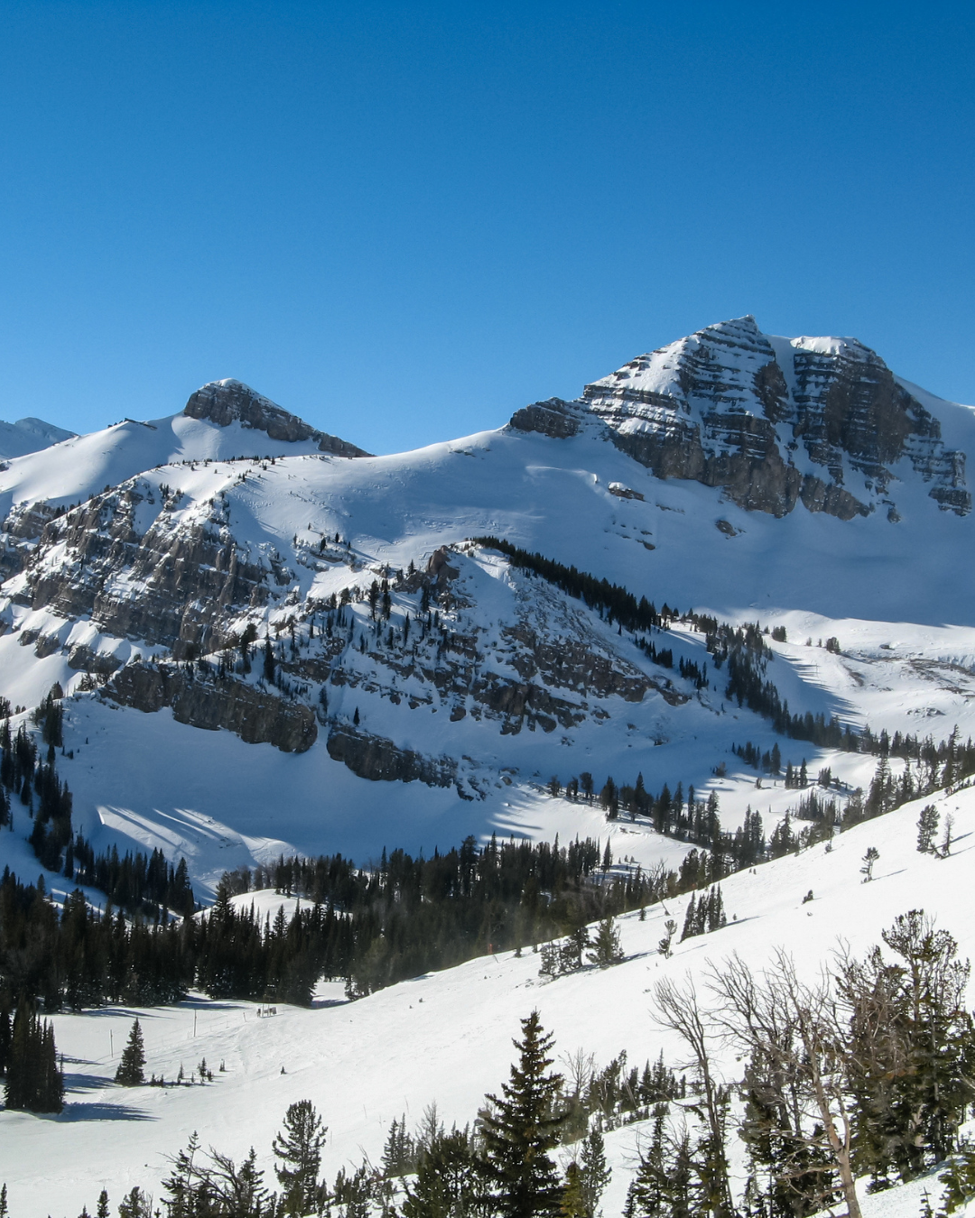 Jackson Hole 2.png