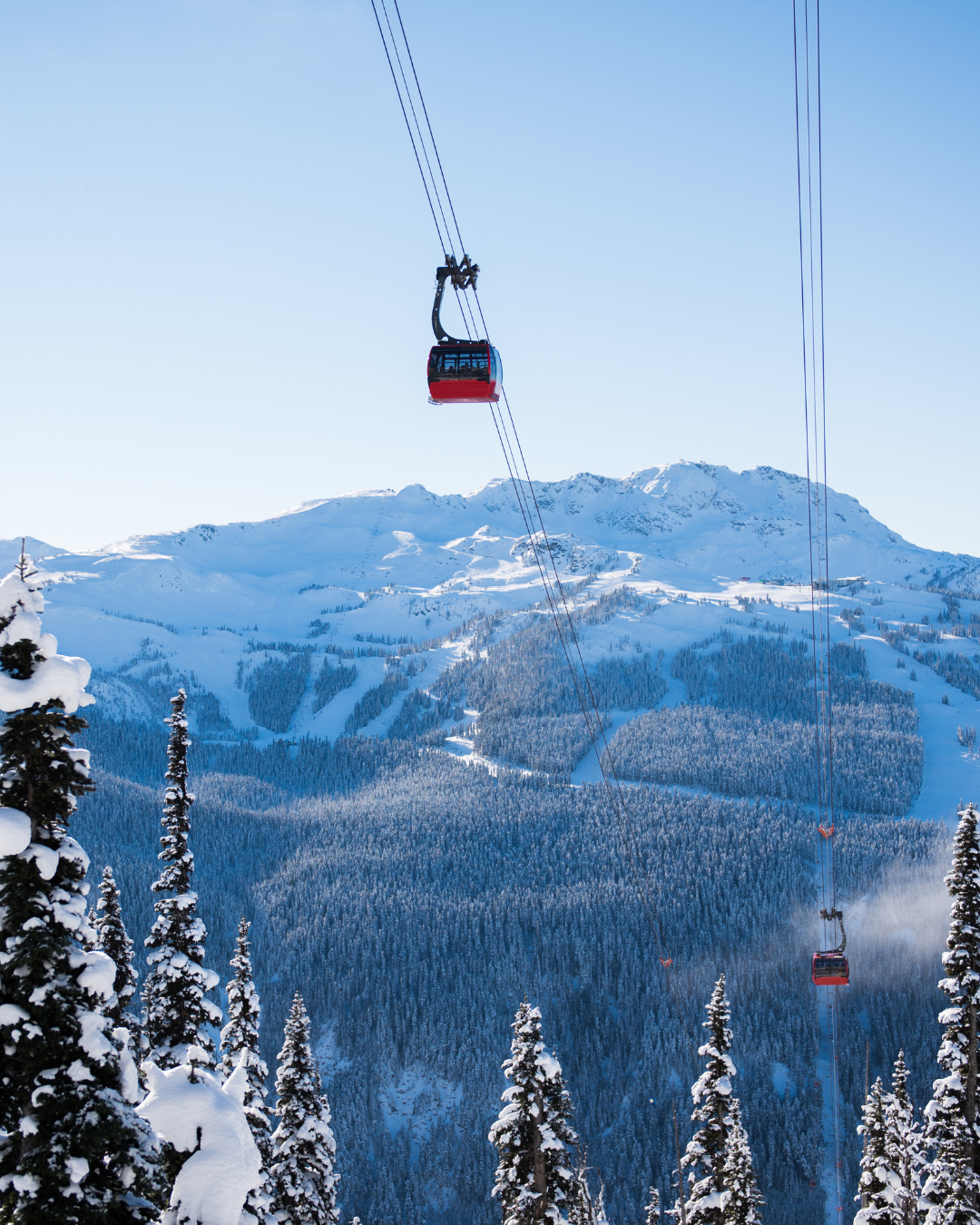 Whistler 2.png