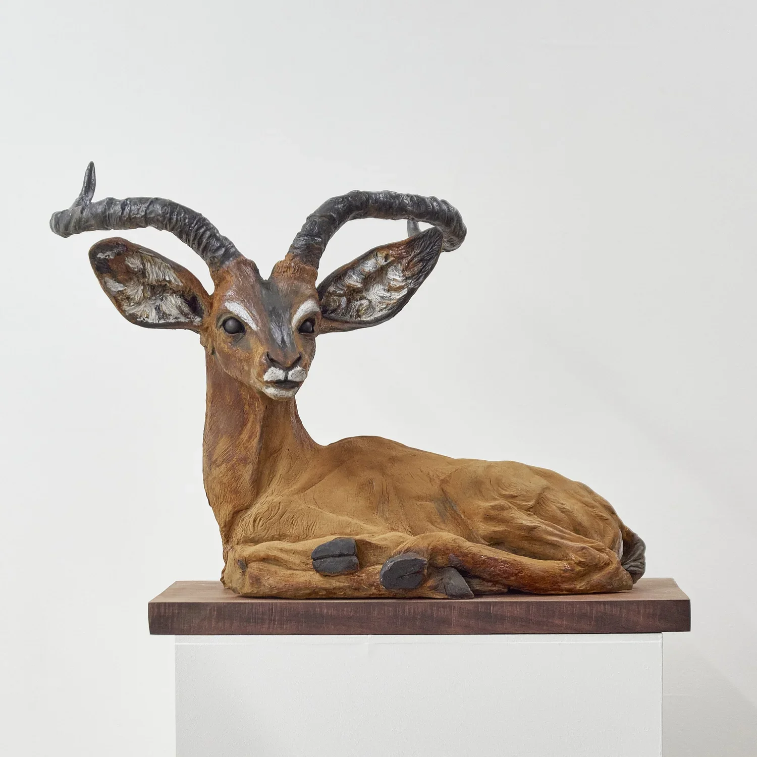 Impala Front.webp