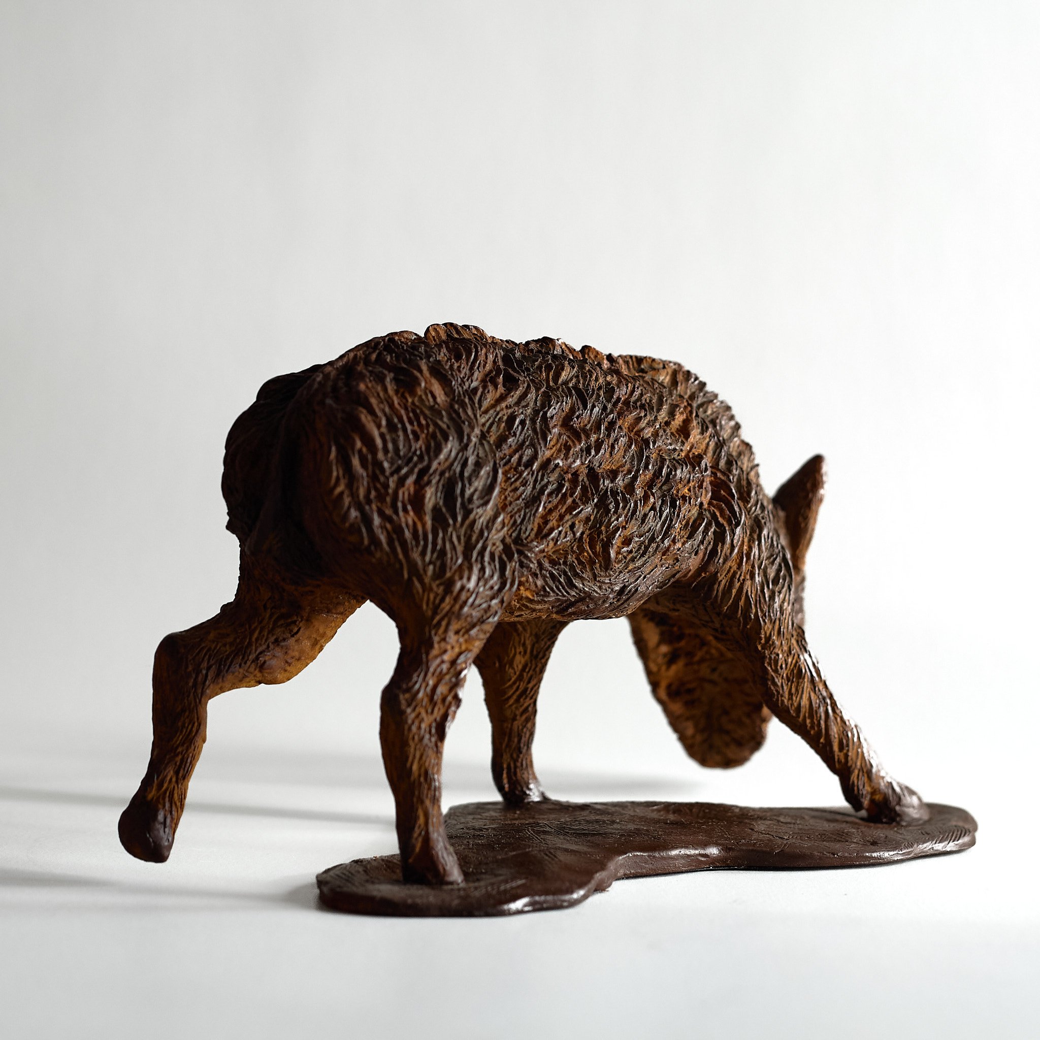 Wild Boar Piglet (R) Rear.jpg