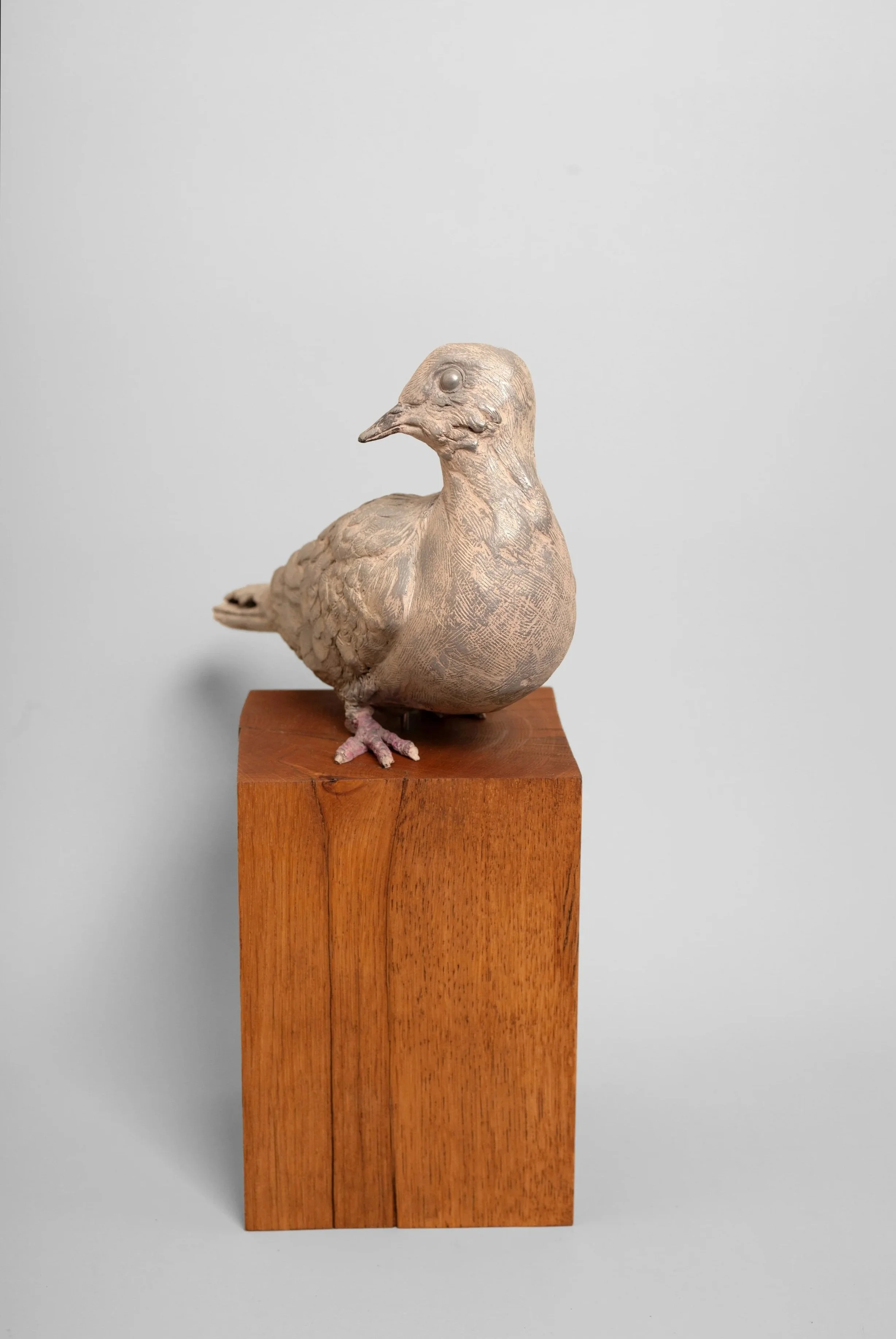 Dove+3.jpg