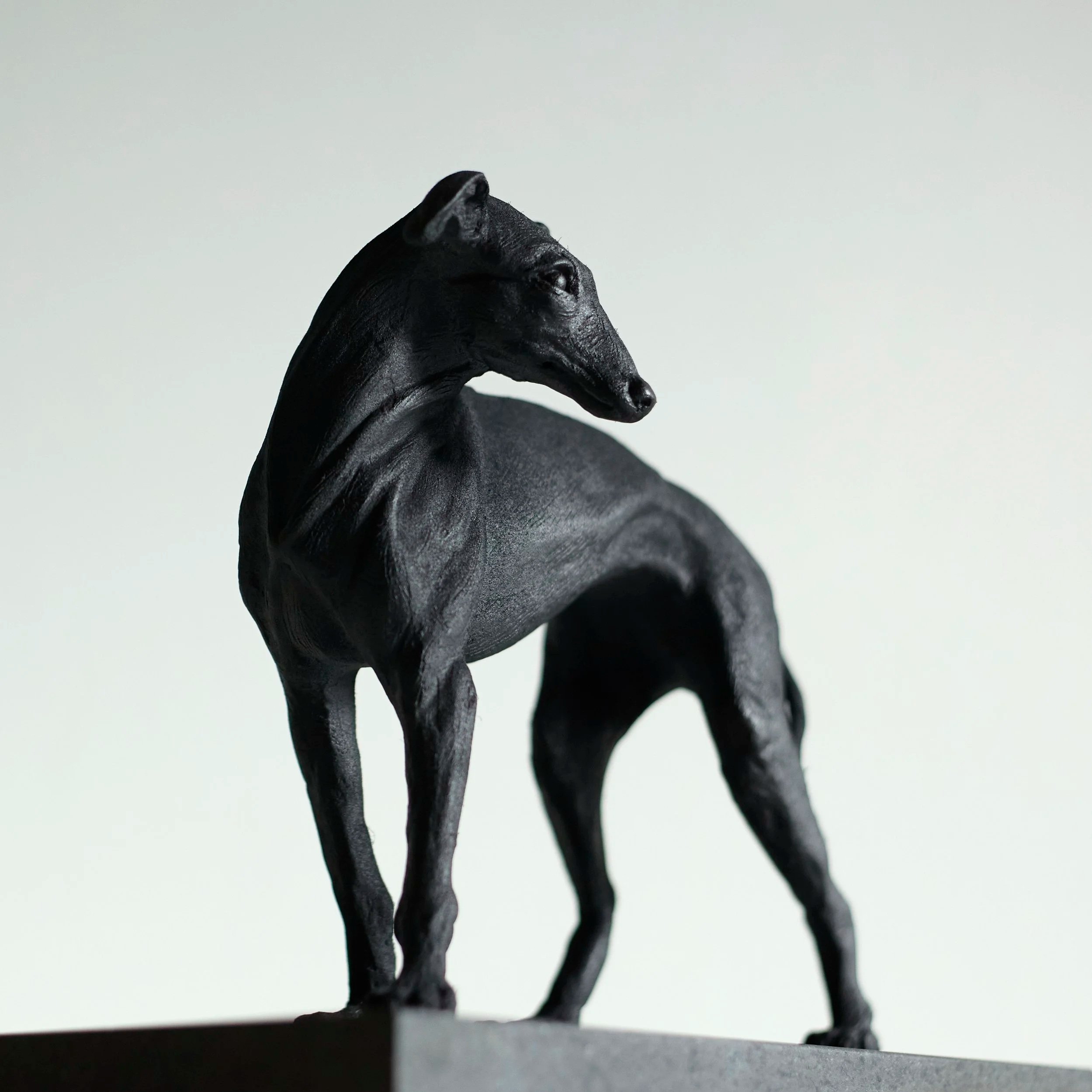 Standing+Greyhound+-+Front.jpg
