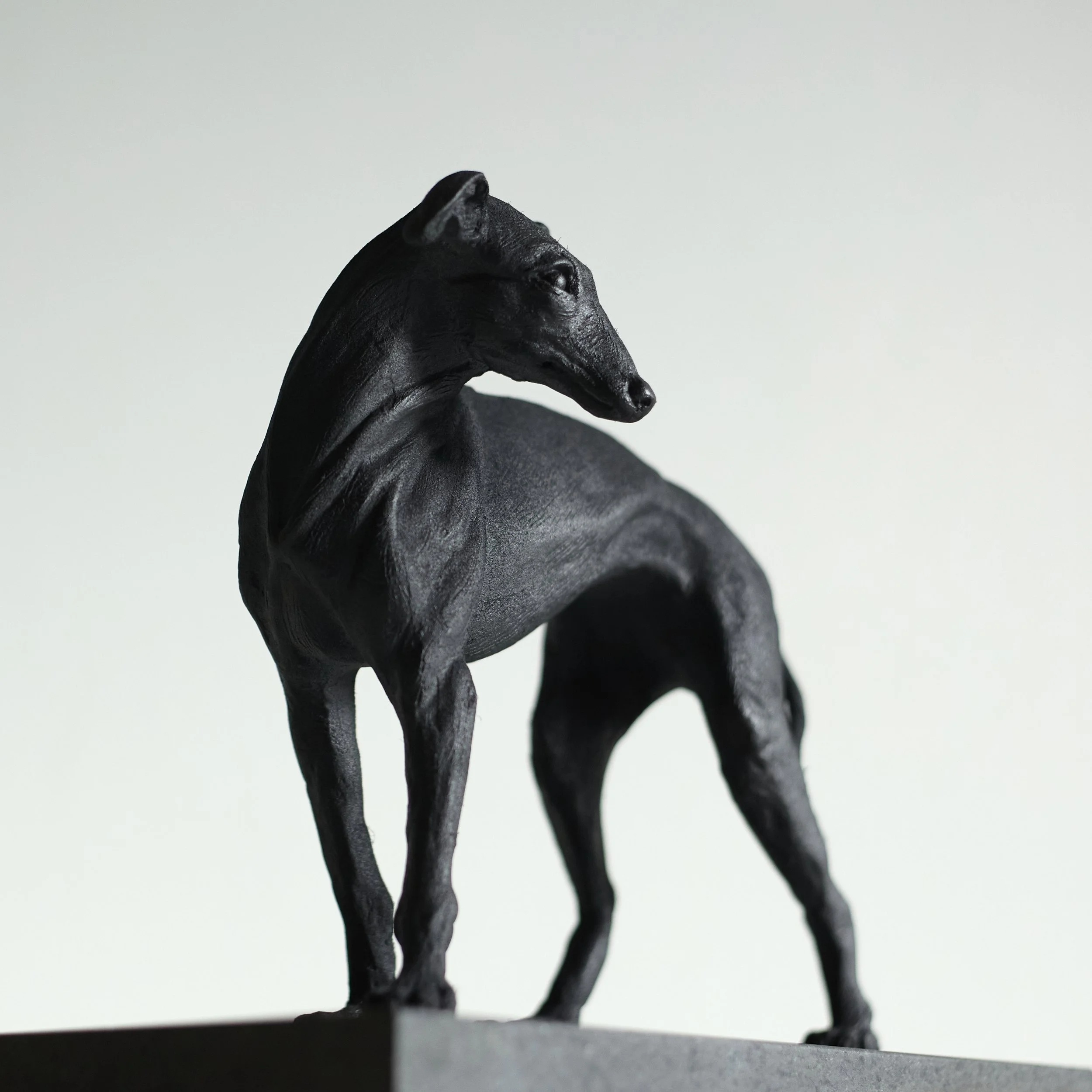 Standing Greyhound - Front.jpg