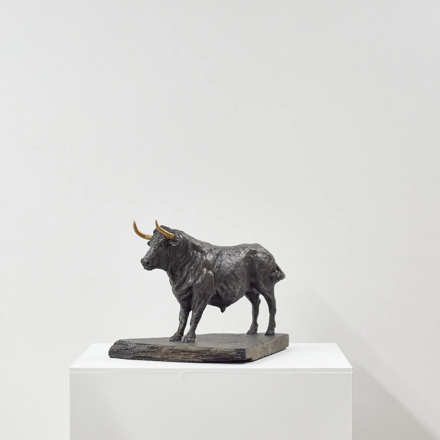 ChrystellaMcCabe_BullwithGoldenHorns_3QuarterView.jpg