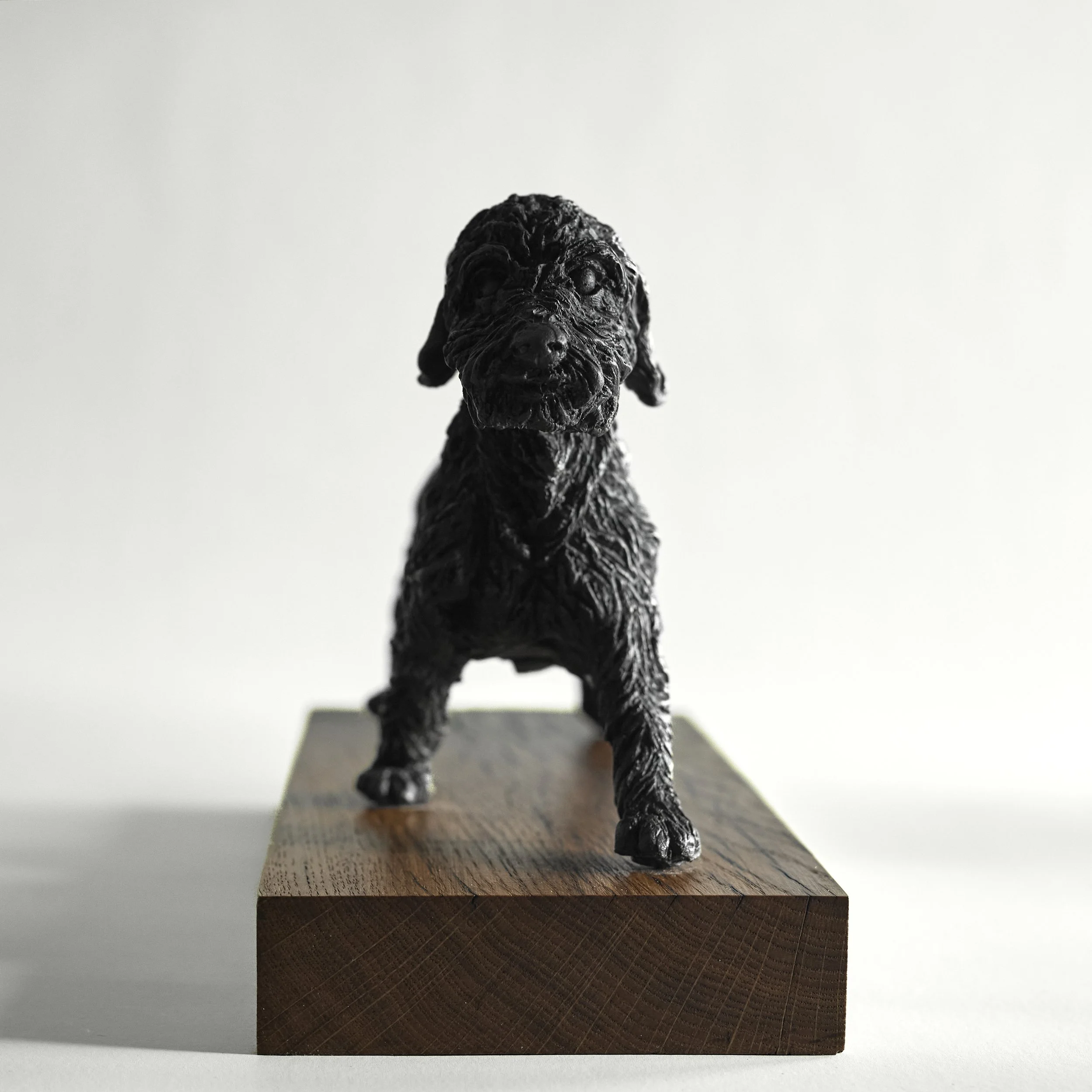 Scruffy Dog - Front.jpg