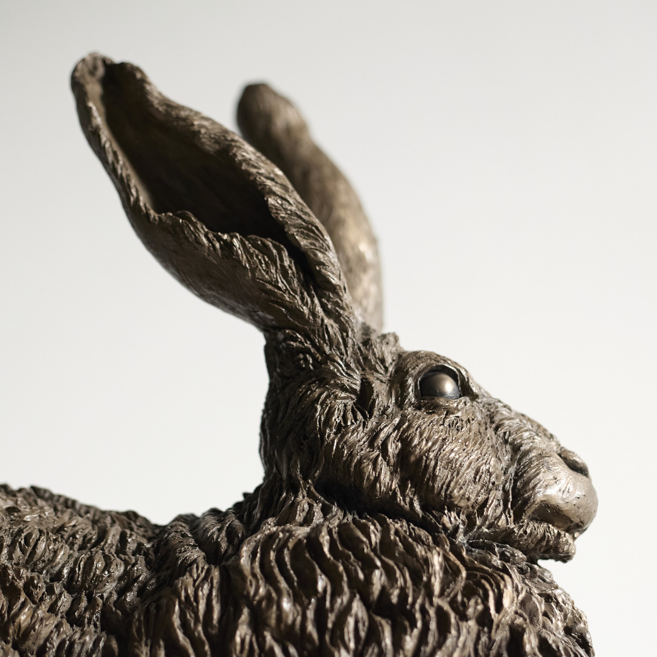 Mountain Hare - Profile Right CU.jpg