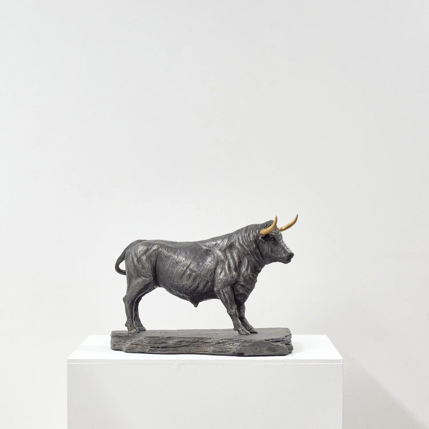 ChrystellaMcCabe_BullwithGoldenHorns_ProfileRight.jpg