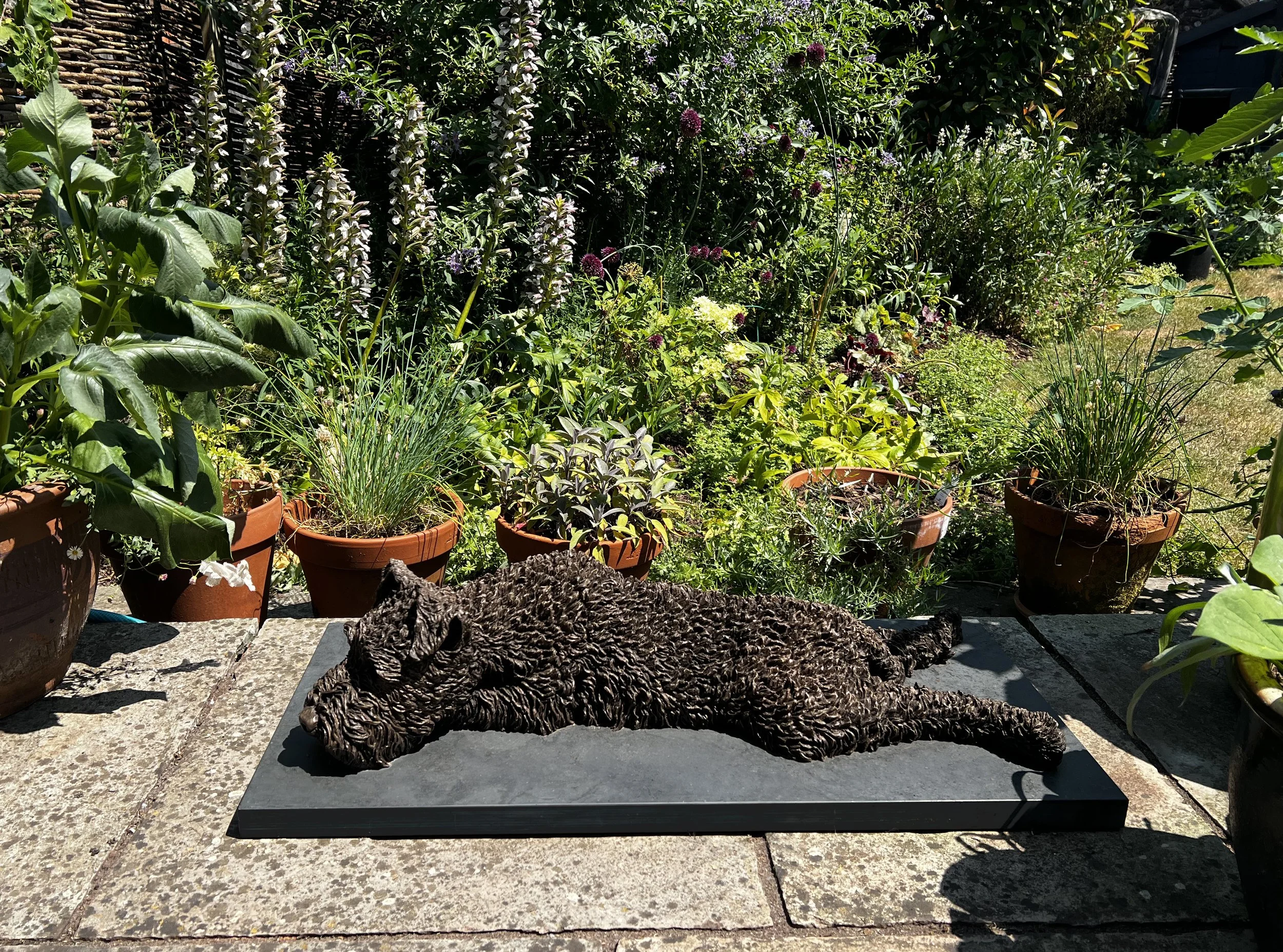 Garden 3.jpg
