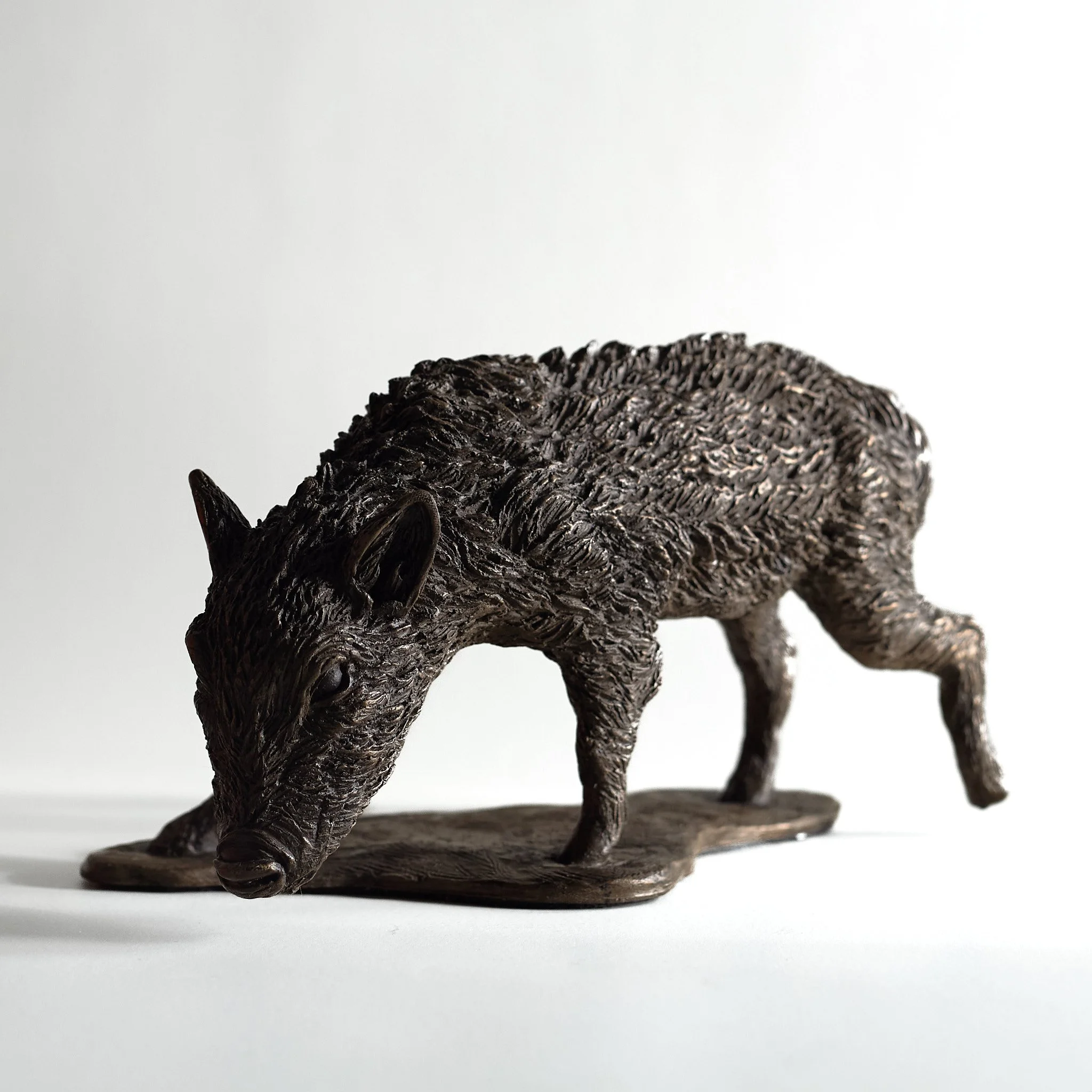 Wild Boar Piglet - 3 quarter Left.jpg