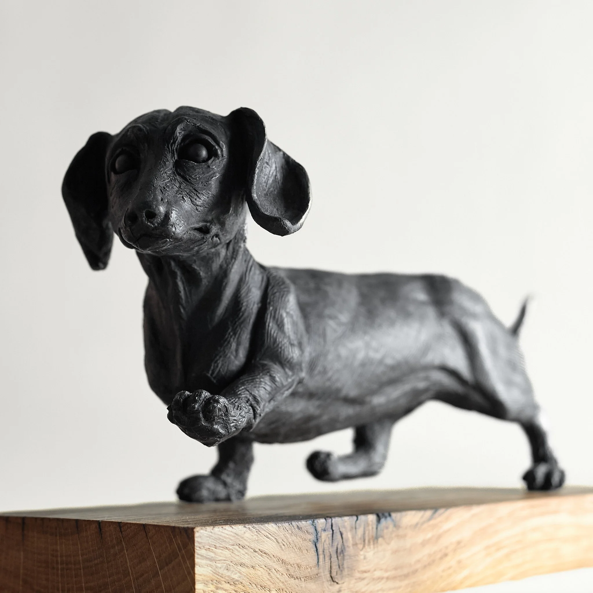 Sassy Sausage - 3 quarter Left.jpg