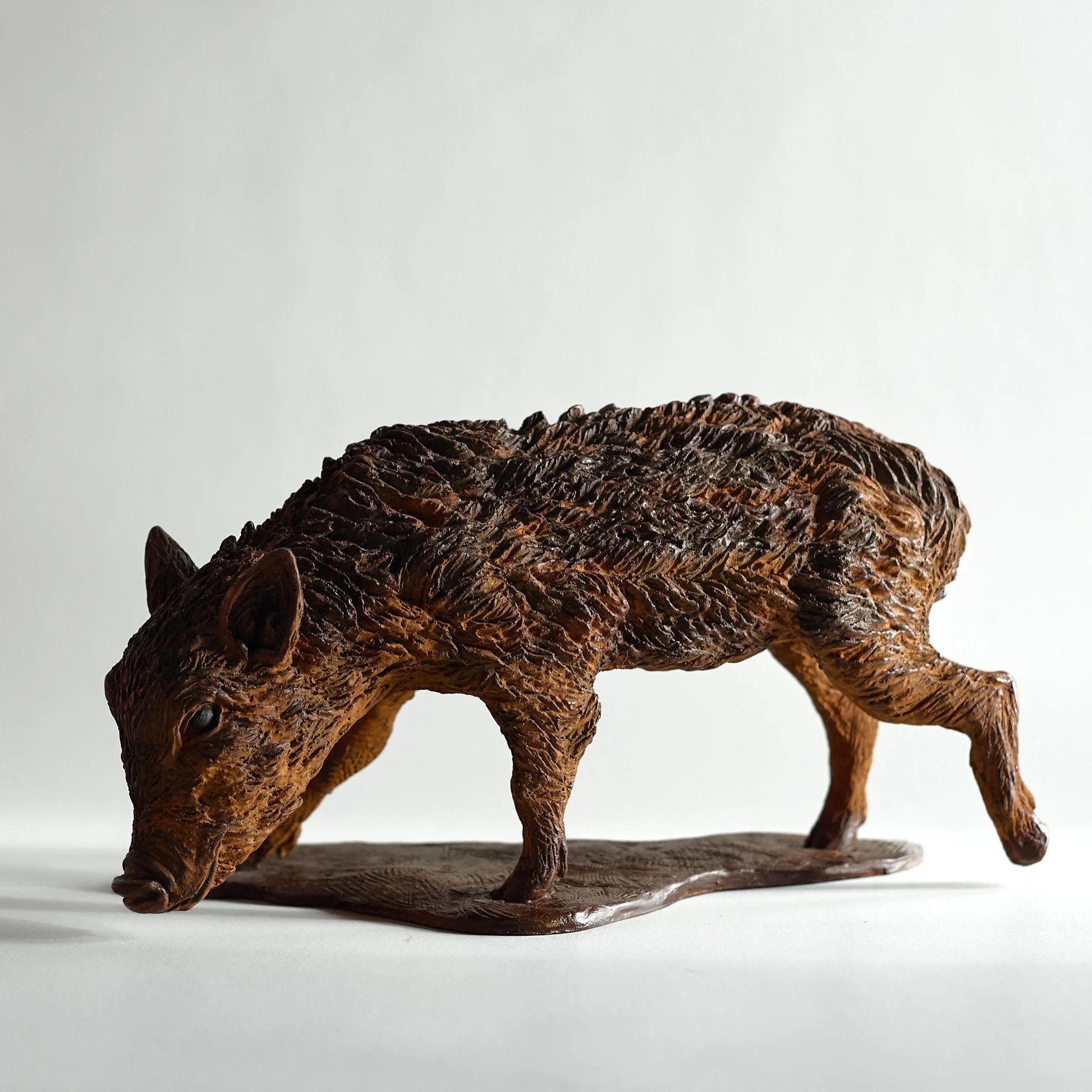 Wild Boar Piglet (R) Profile Left.jpg