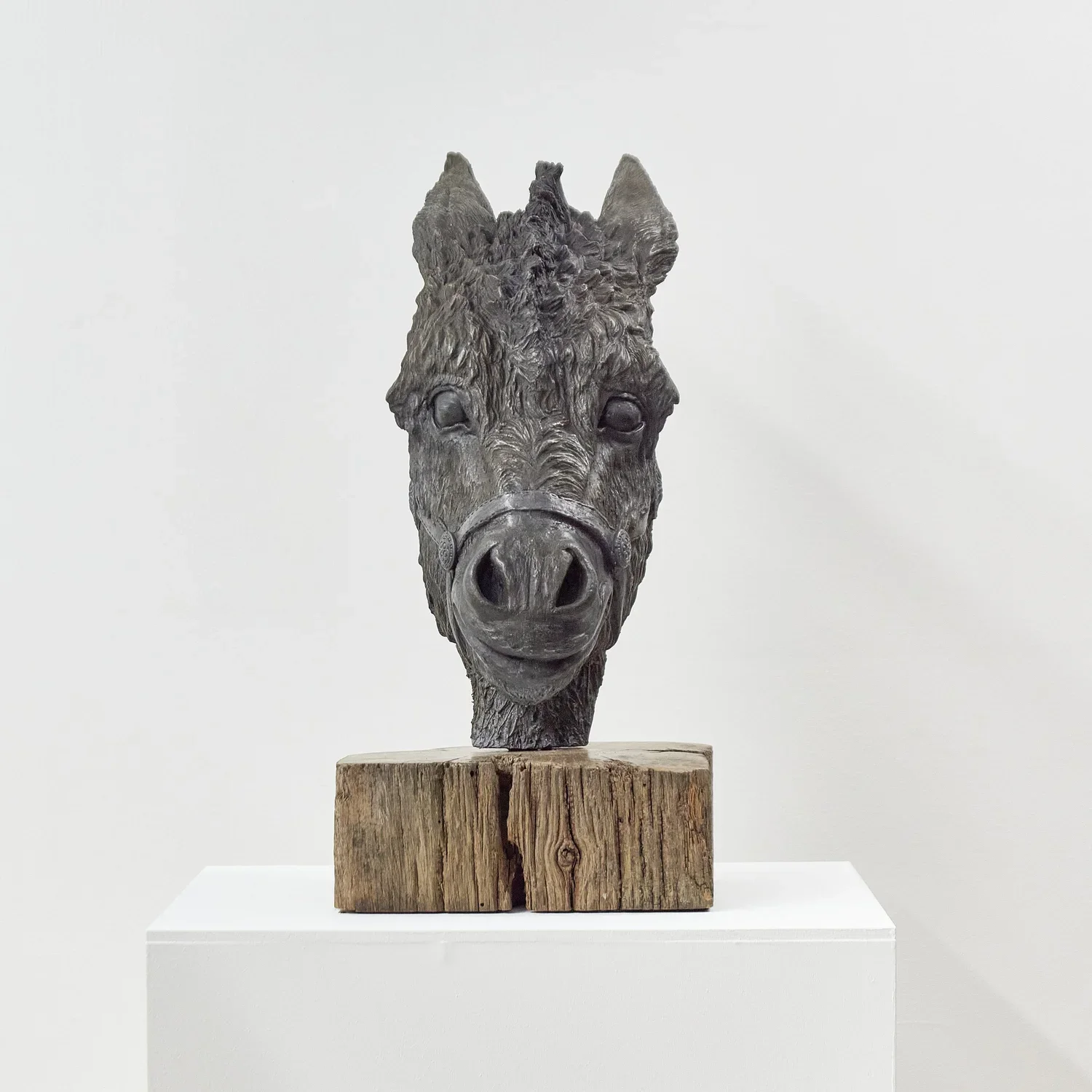 Donkey front .webp