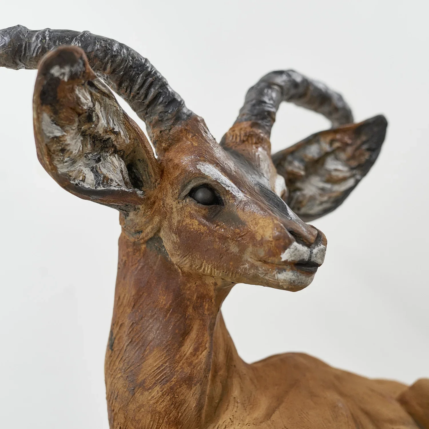 Impala right side.webp