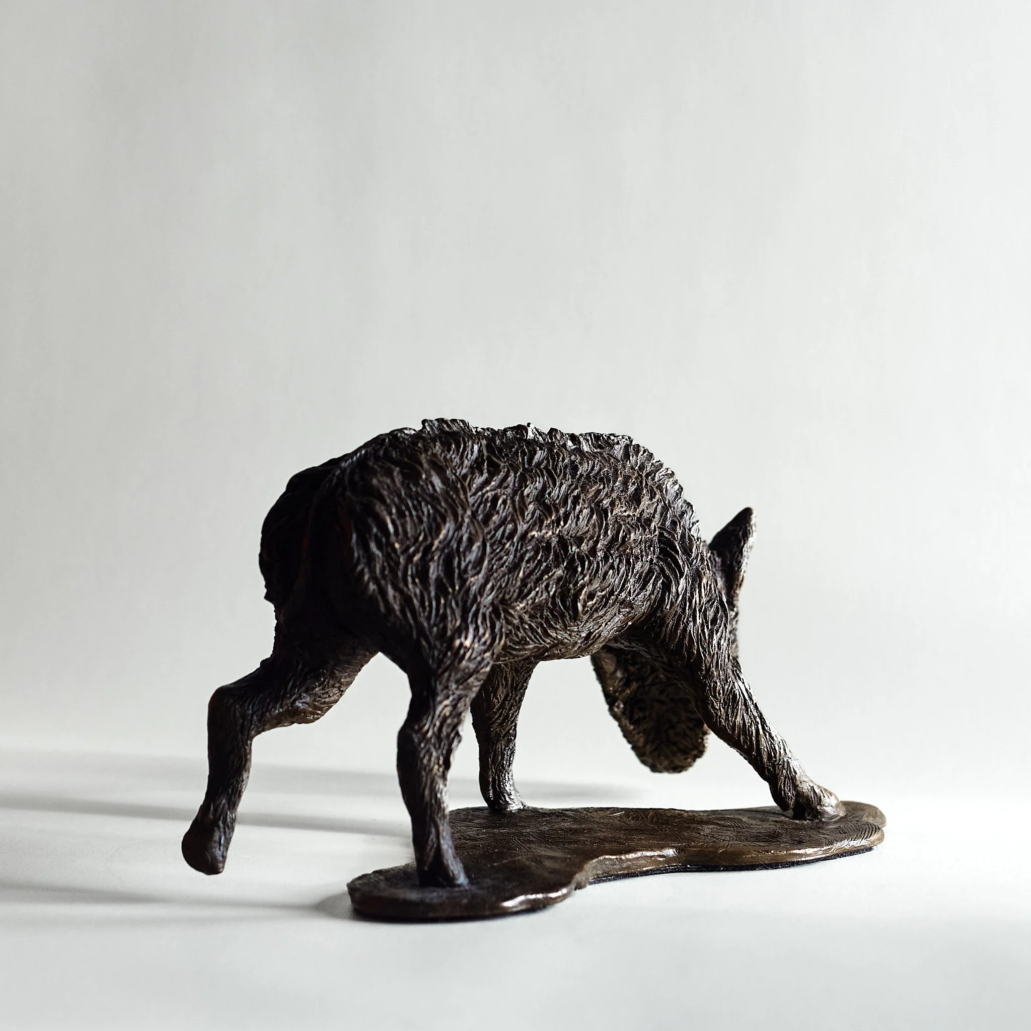 Wild Boar Piglet - Rear.jpg