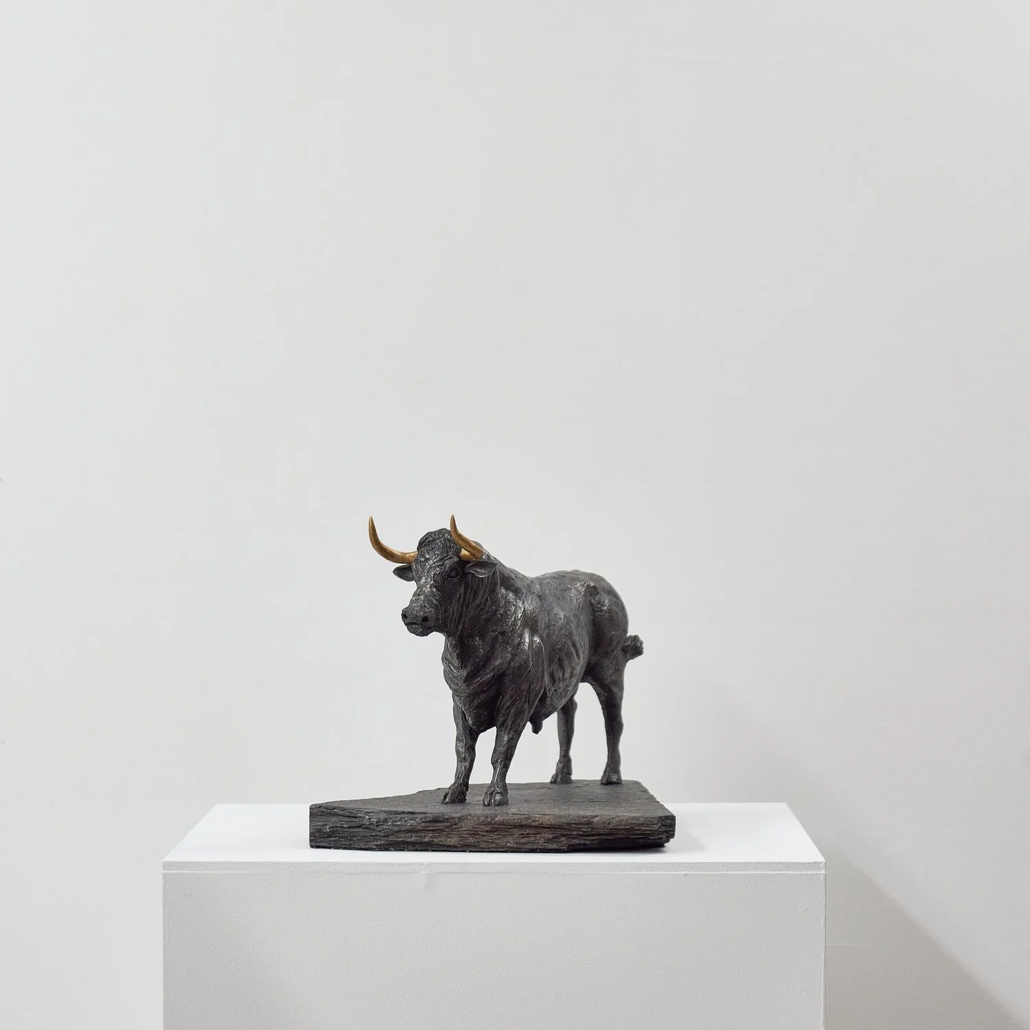 ChrystellaMcCabe_BullwithGoldenHorns_Front.jpg