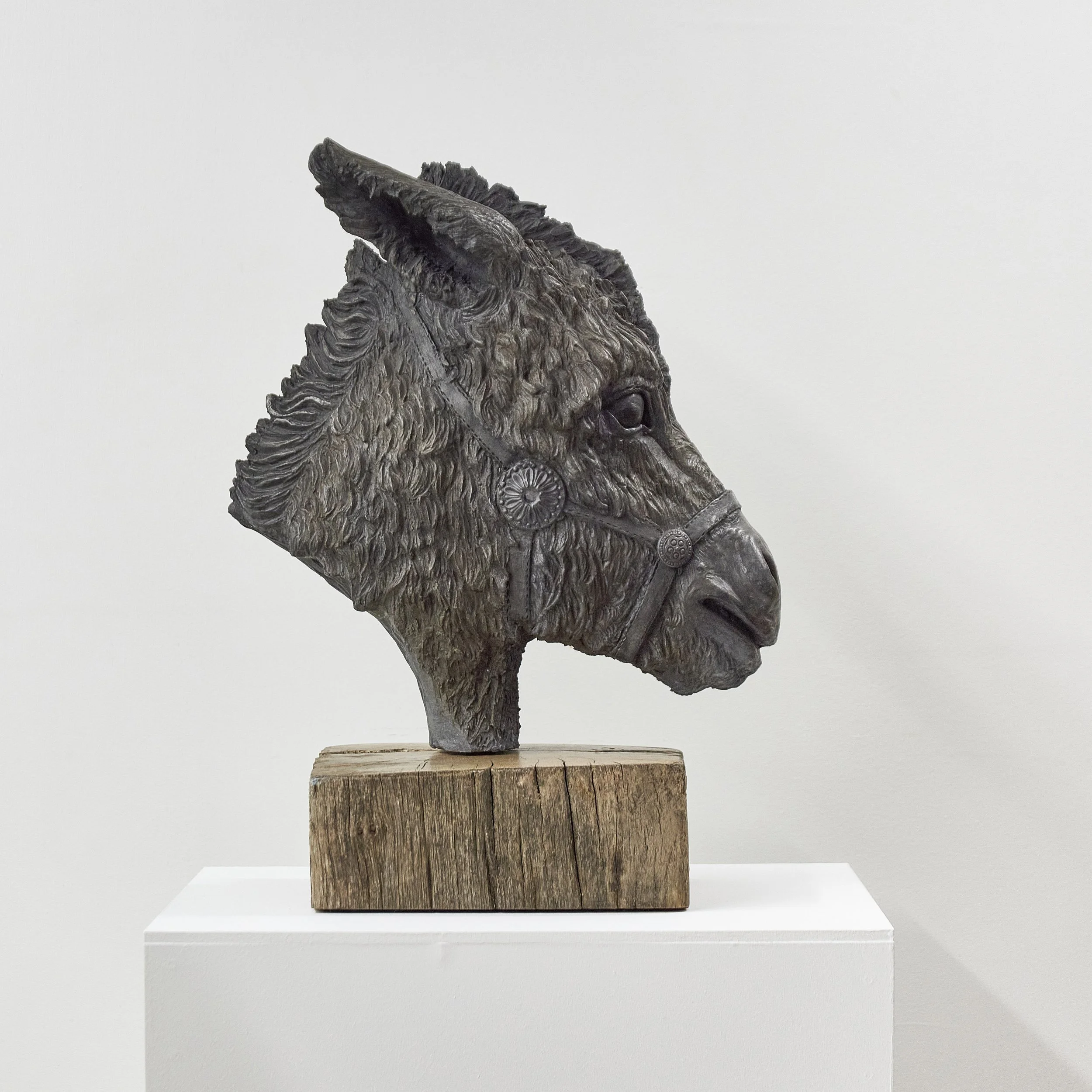 Donkey - Profile Right.jpg