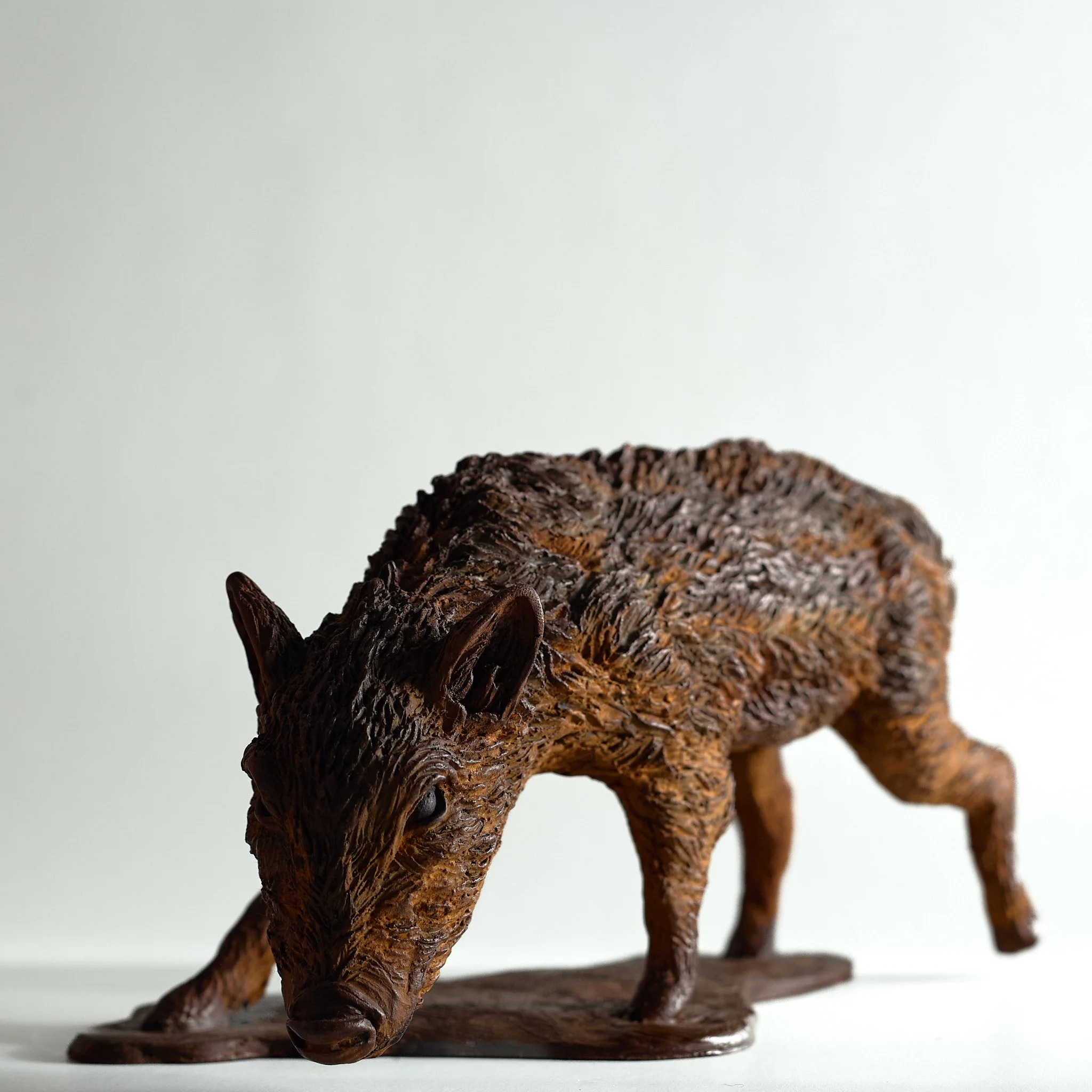 Wild Boar Piglet (R) Front.jpg