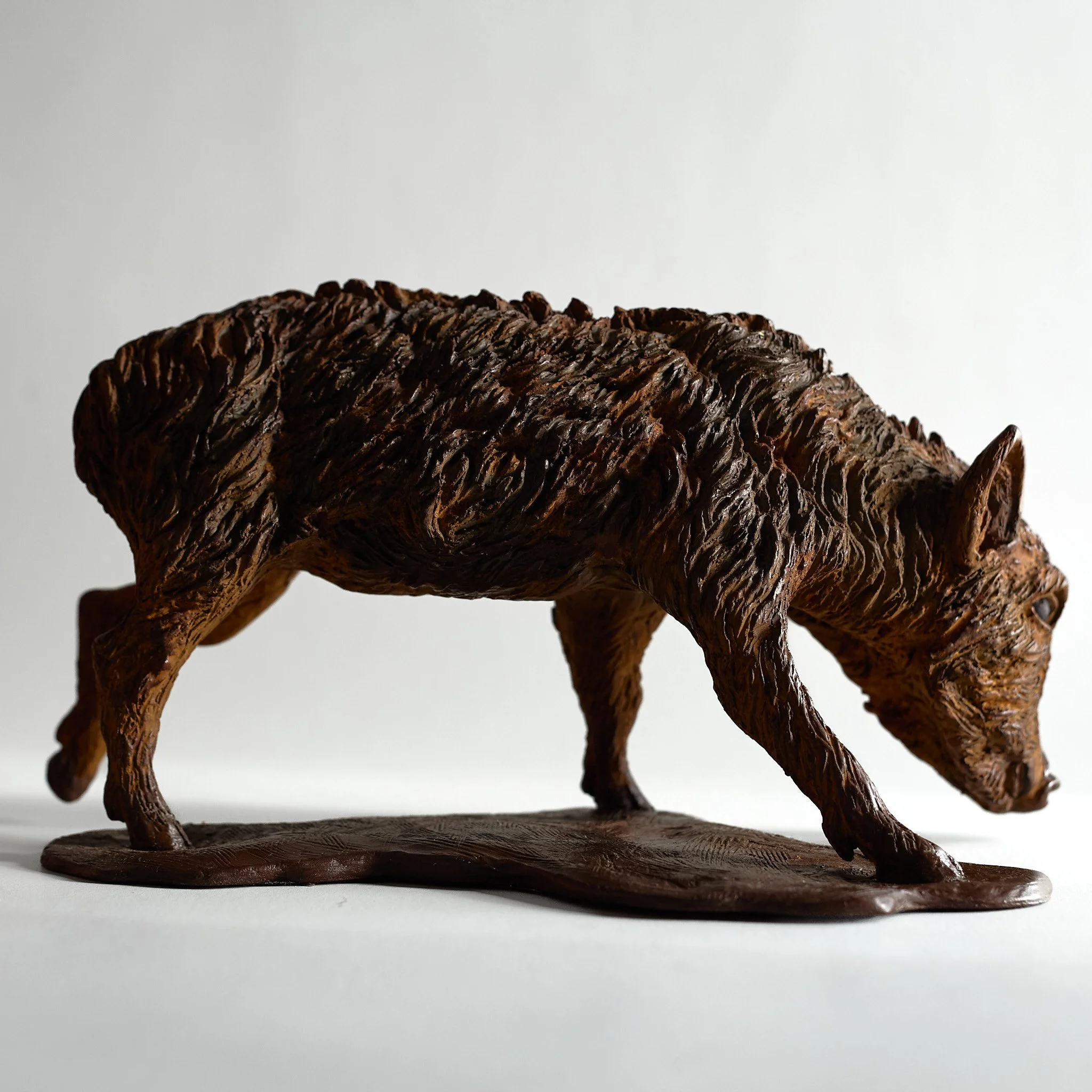 Wild Boar Piglet (R) Profile Right.jpg