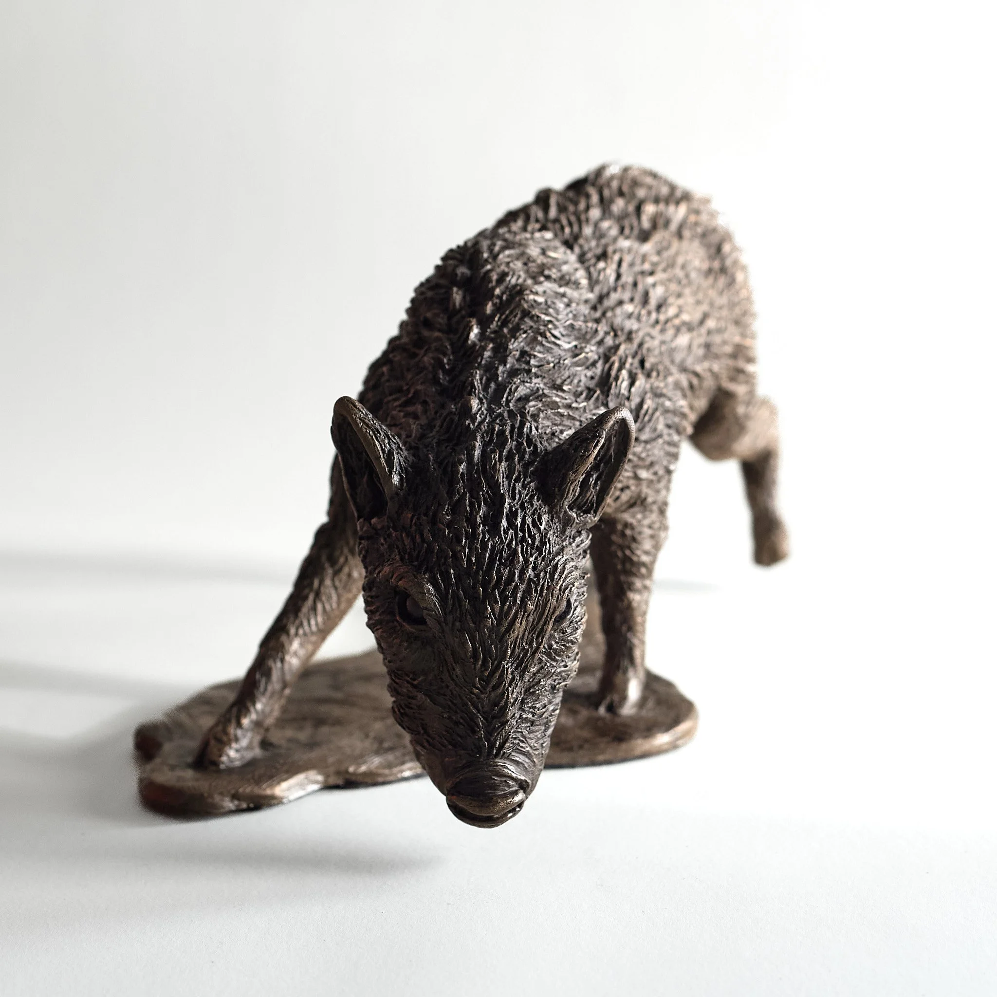 Wild Boar Piglet - Front.jpg