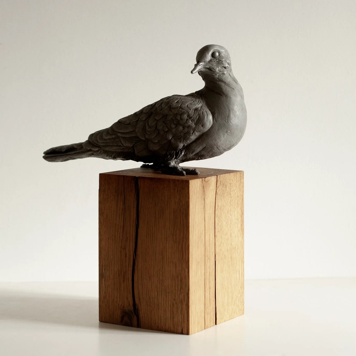 McCabeChrystella-CollaredDove-ColdCastAluminium-6kg-Ed1of12-H37xW26xD23cm-850.jpg