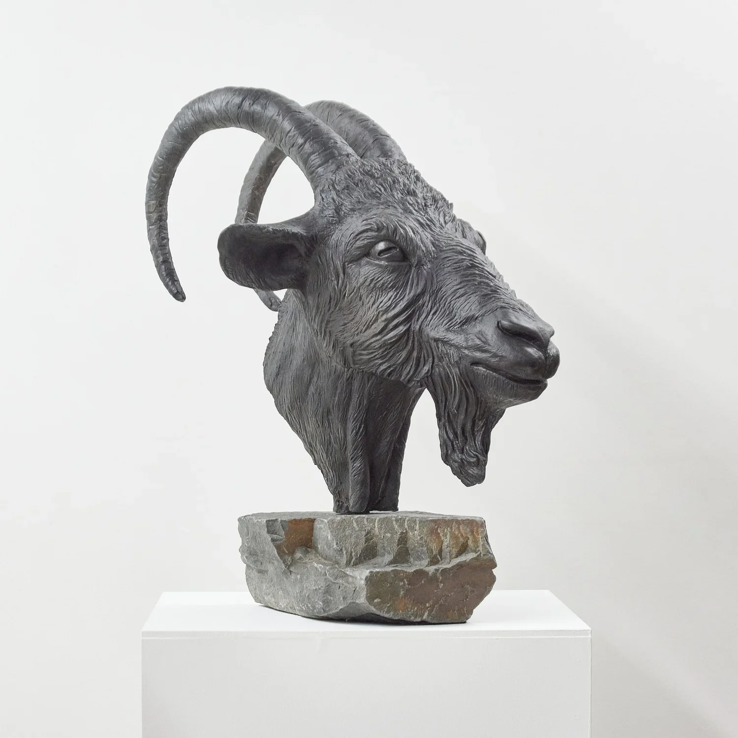 Mountain Goat Right Side.webp