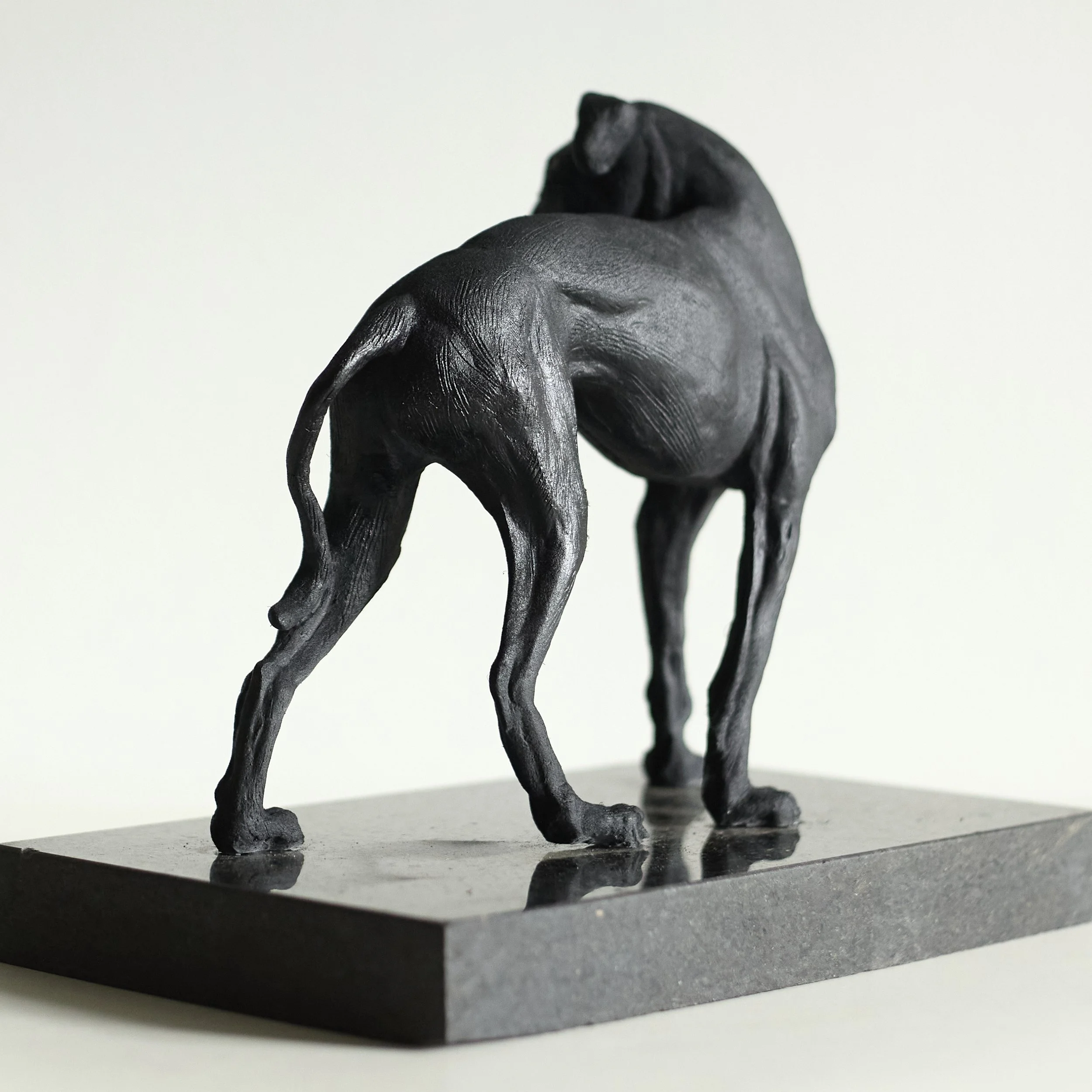 Standing Greyhound - Rear.jpg