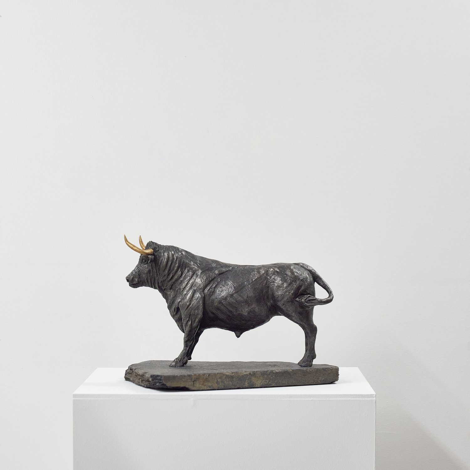 ChrystellaMcCabe_BullwithGoldenHorns_ProfileLeft.jpg
