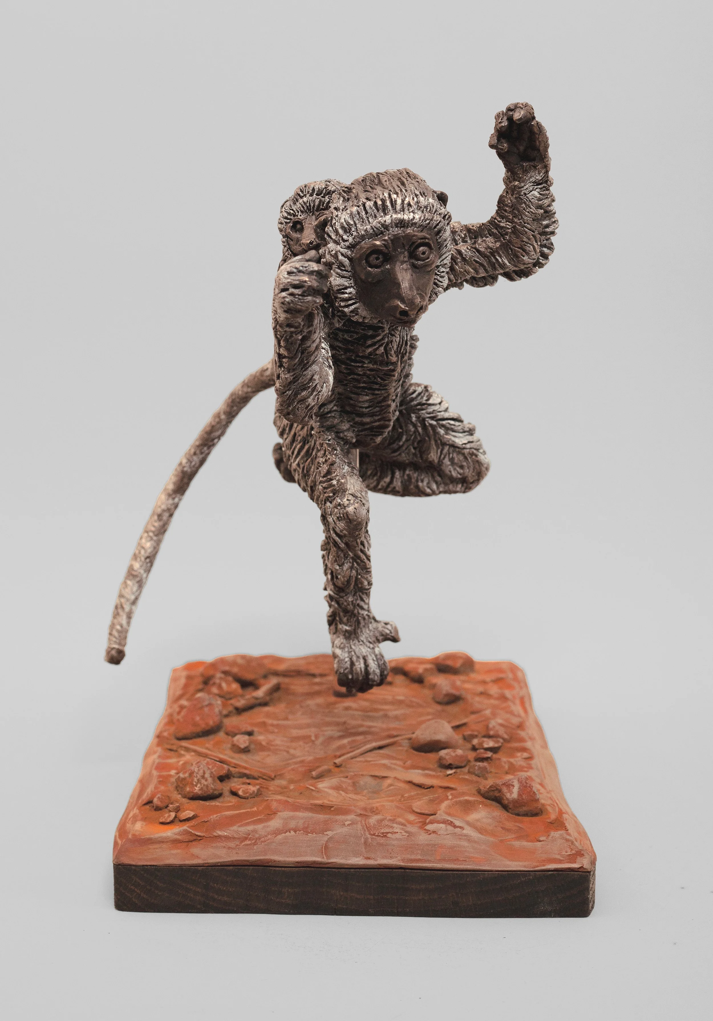 Lemur 1.jpg