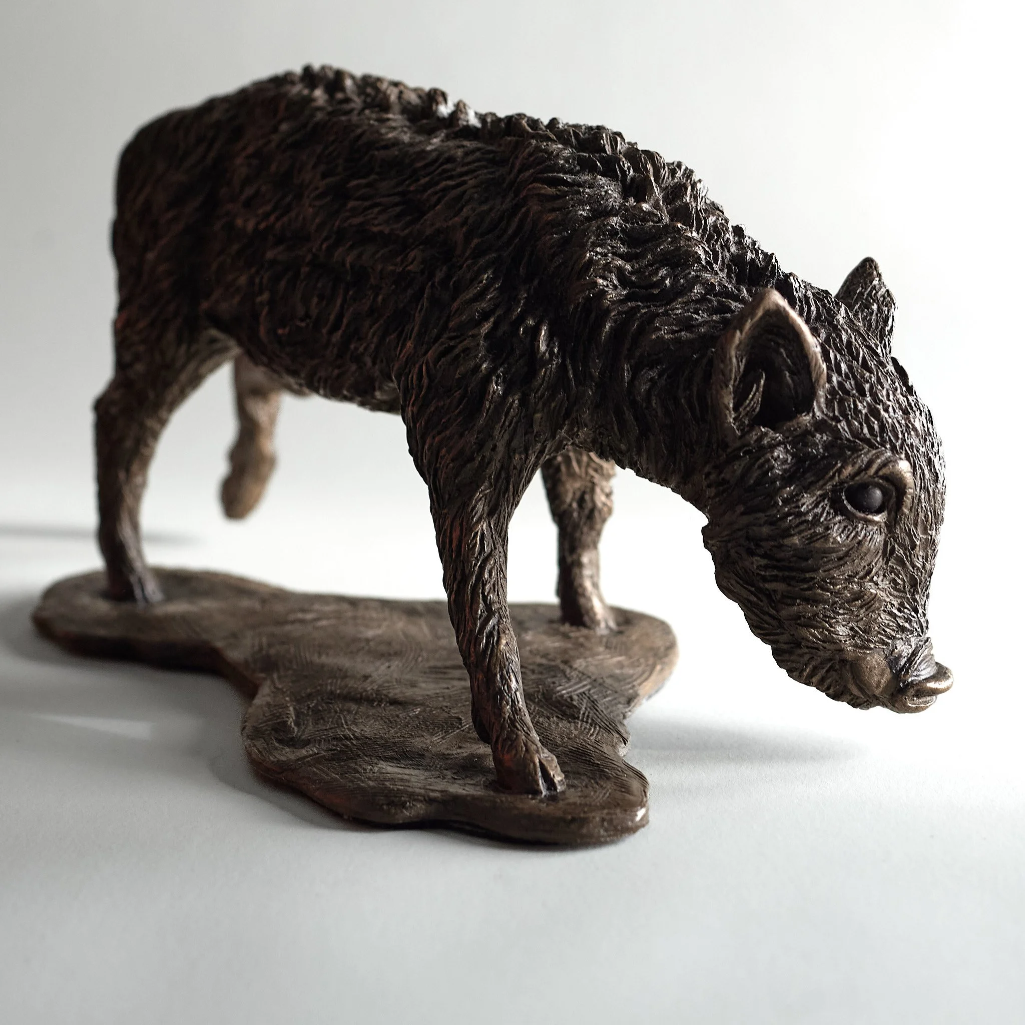 Wild Boar Piglet - 3 quarter right.jpg