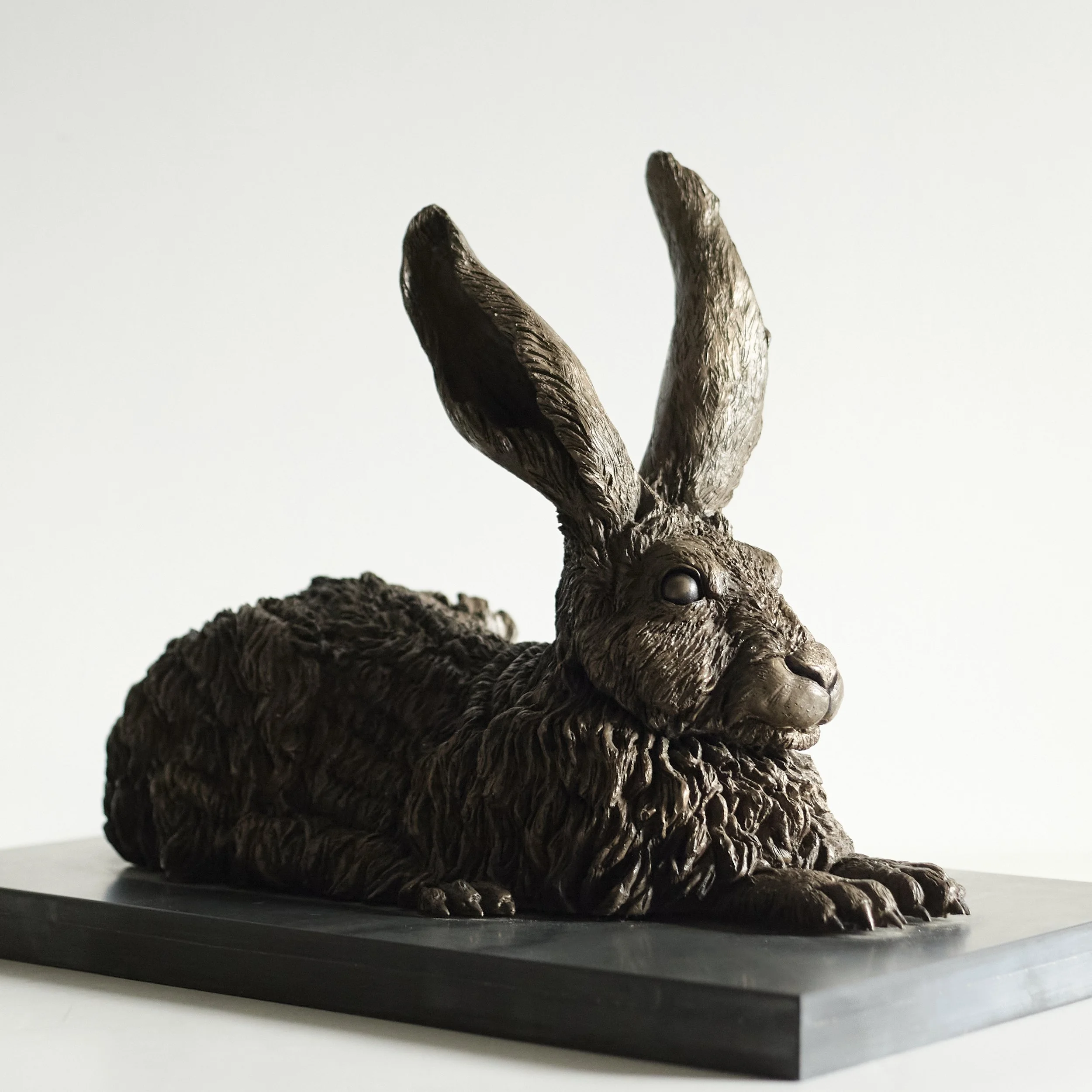 Mountain Hare - 3 quarter front.jpg