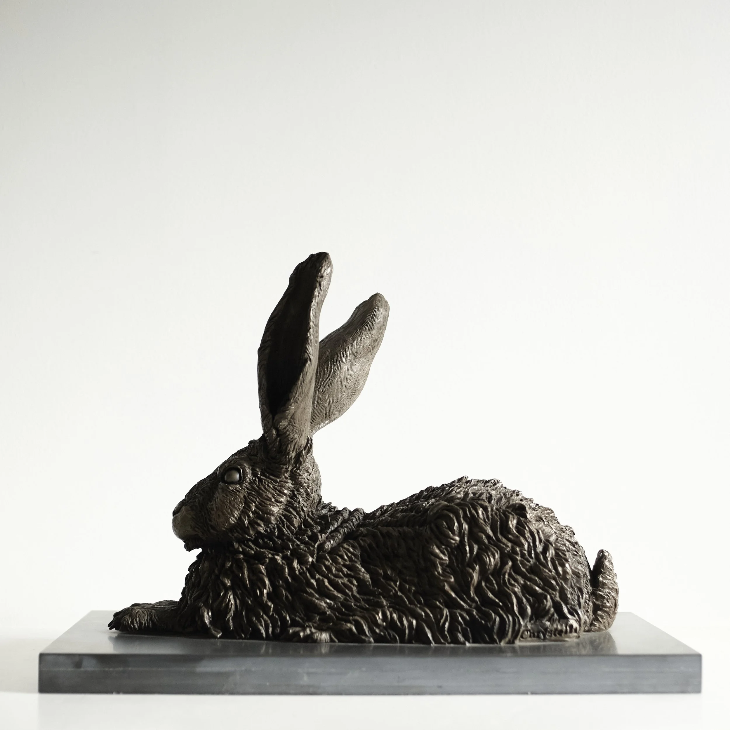 Mountain Hare - Profile Left.jpg