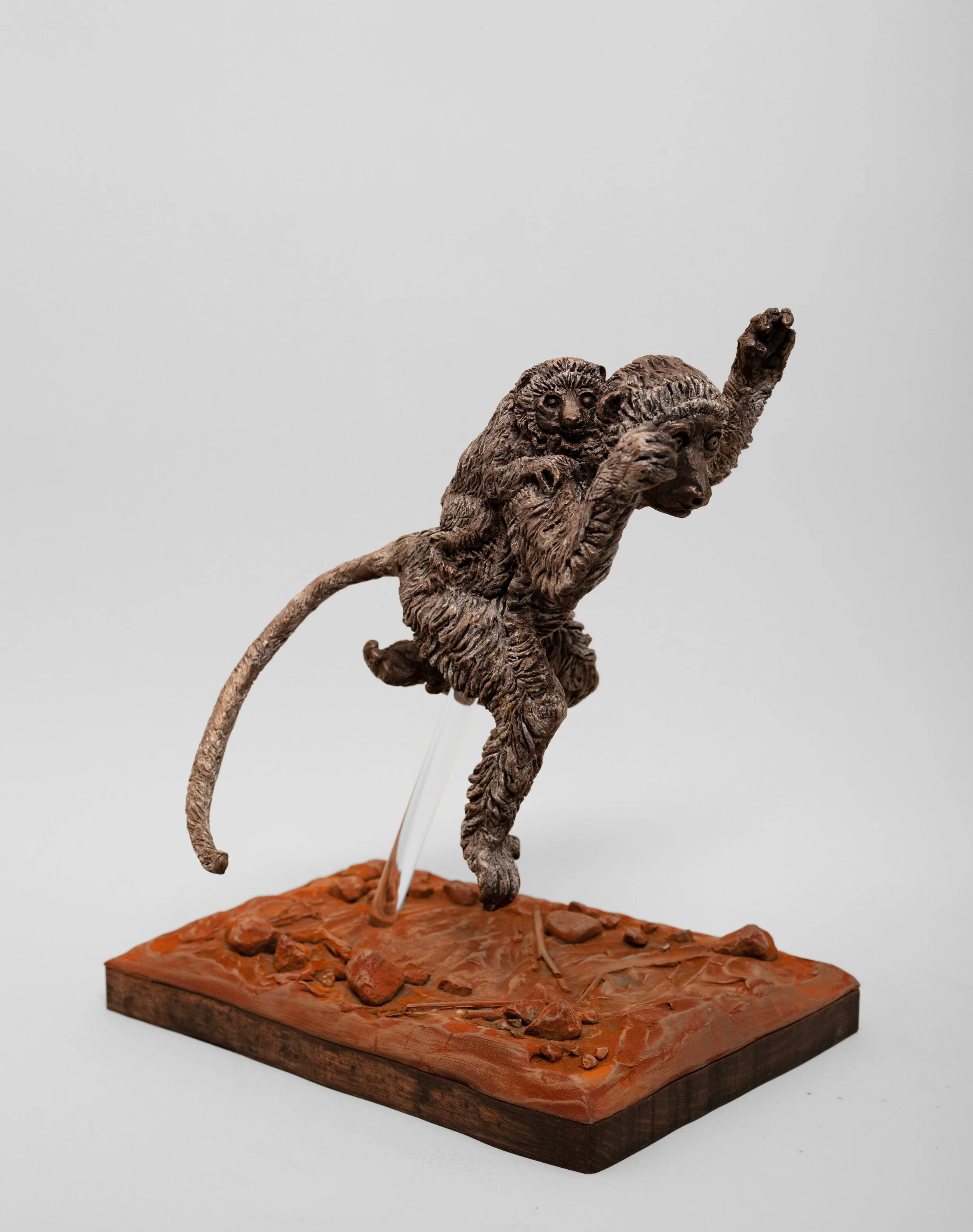 Lemur 2.jpg