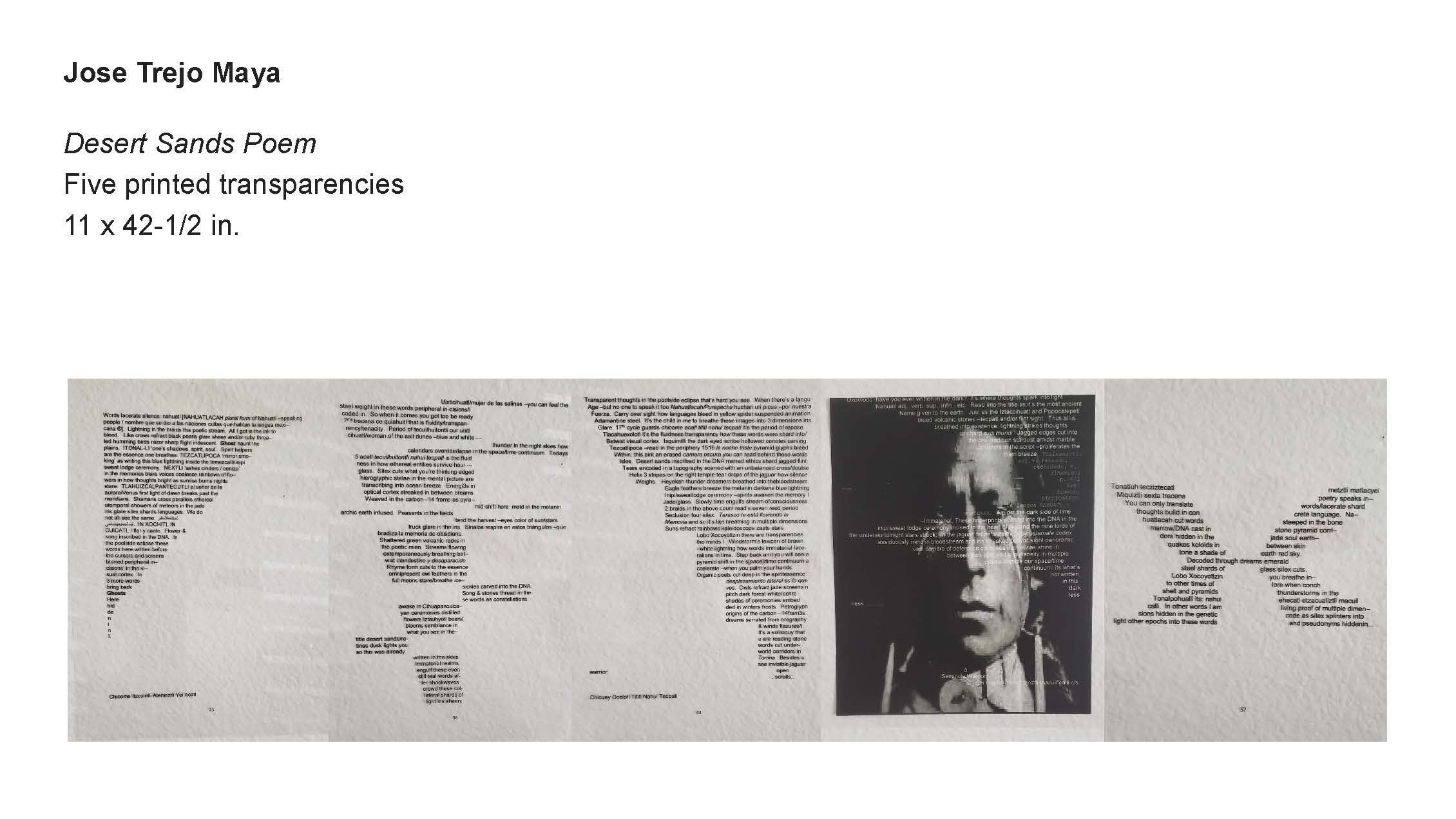 AALANA-BIPOC 2026 Exhibit_Jose Trejo Maya_01.jpg