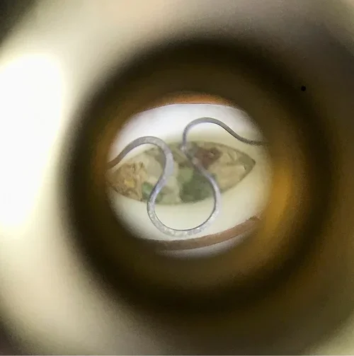 "Loupe" (top view) by John T. Upchurch and Rebekka Federle, 10" x 10" x 4", Antique print material, wood, steel and brass wire, paper, found objects