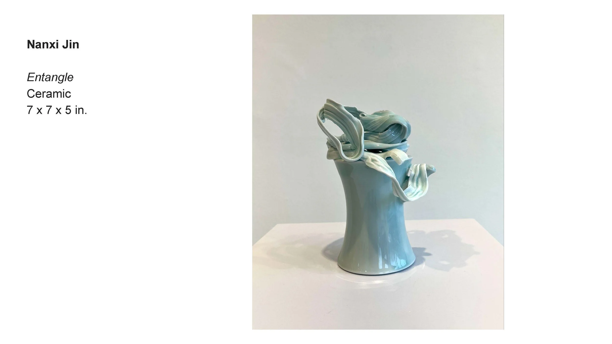 AALANA-BIPOC 2026 Exhibit_Nanxi Jin_04.jpg