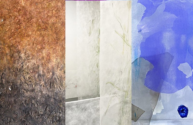 March 2023 Newsletter