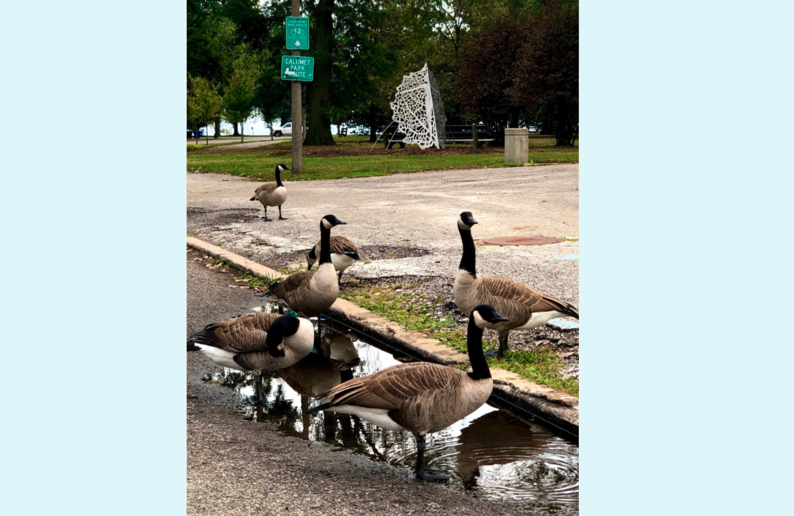 June 2023 Newsletter