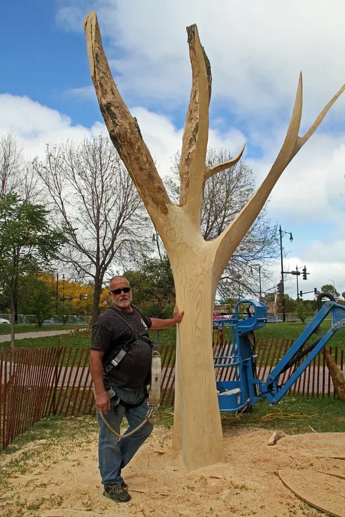 Ron Gard standing next to a tree project in progress in Lincoln Park.