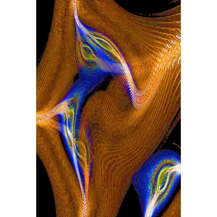 Peter N. Gray, "Nodal Transport", Giclee on vinyl, 48 x 30 in.