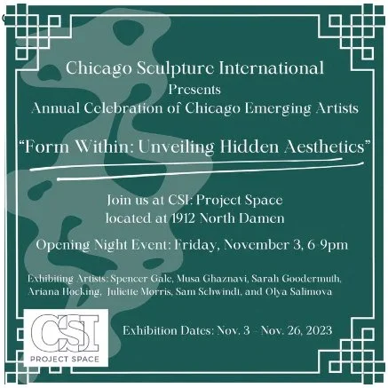 Form Within: Revealing Hidden Aesthetics