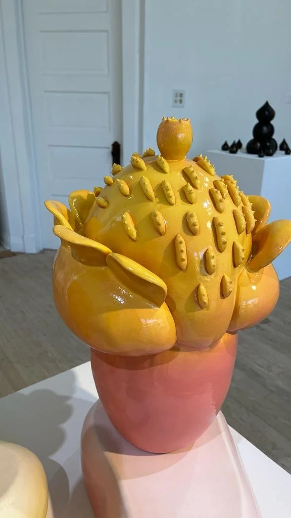 Nikki Renne Anderson