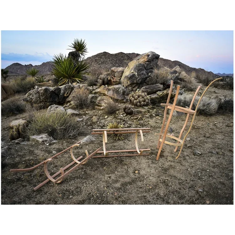 Patrick D. Wilson, "Dead Bug", Archival pigment print, 23 x 29 in.