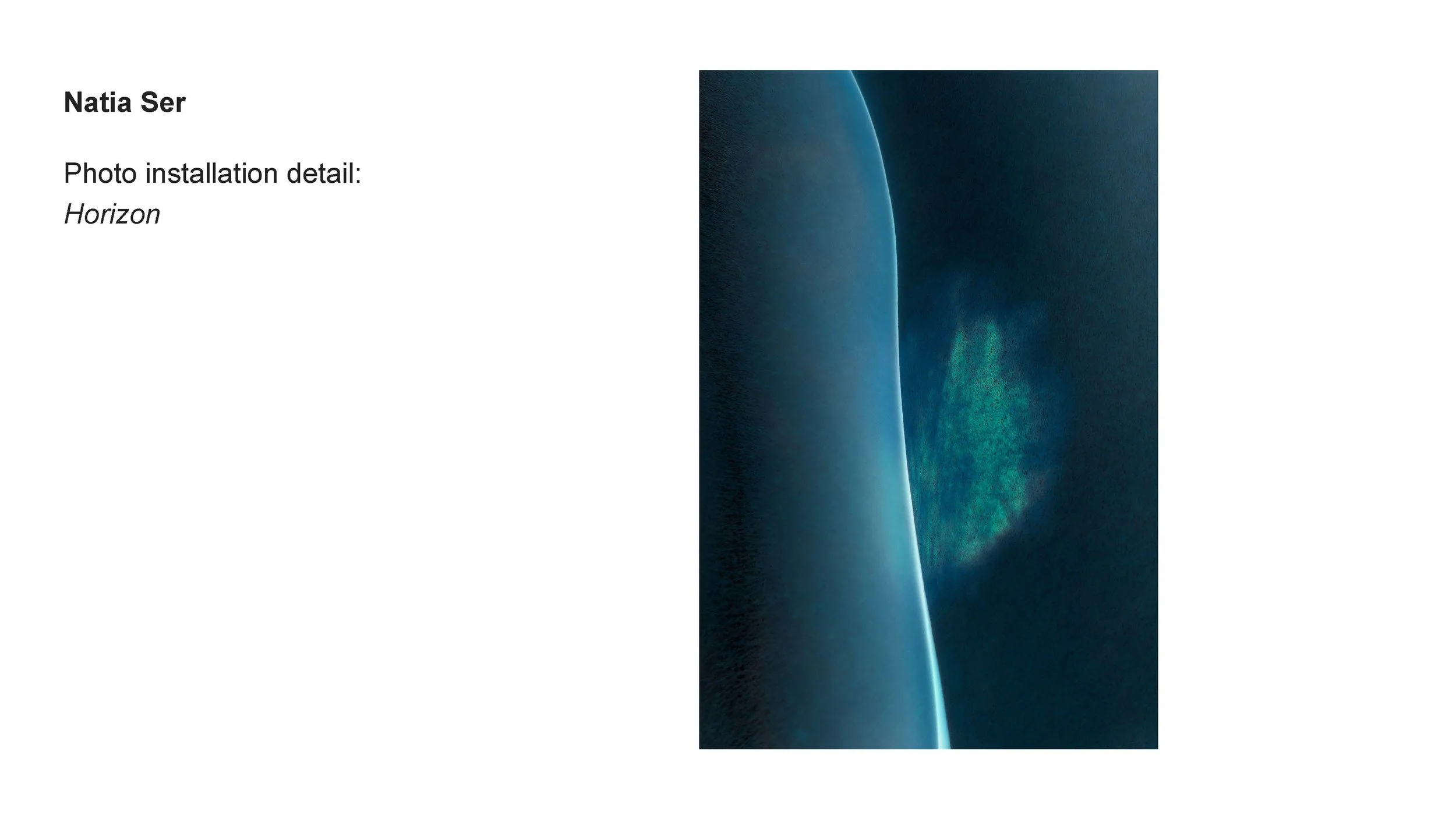 AALANA-BIPOC 2026 Exhibit_Natia Ser_09.jpg