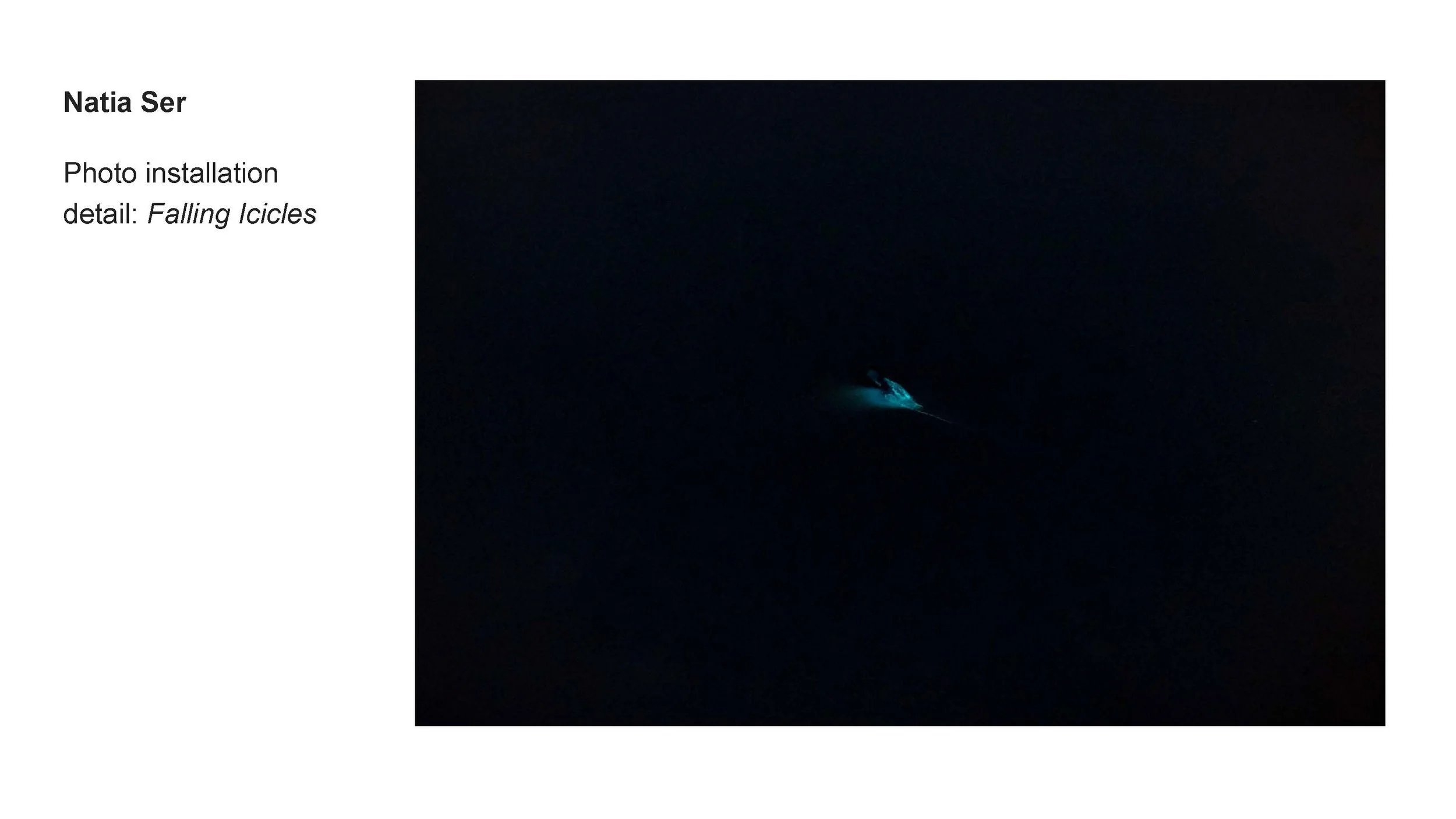 AALANA-BIPOC 2026 Exhibit_Natia Ser_10.jpg