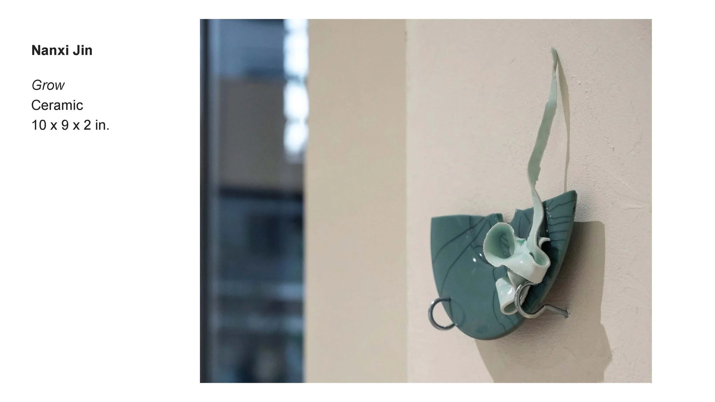 AALANA-BIPOC 2026 Exhibit_Nanxi Jin_01.jpg