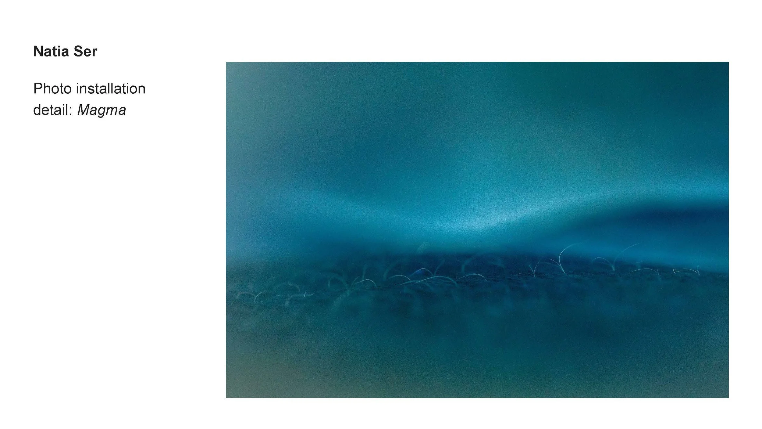 AALANA-BIPOC 2026 Exhibit_Natia Ser_05.jpg