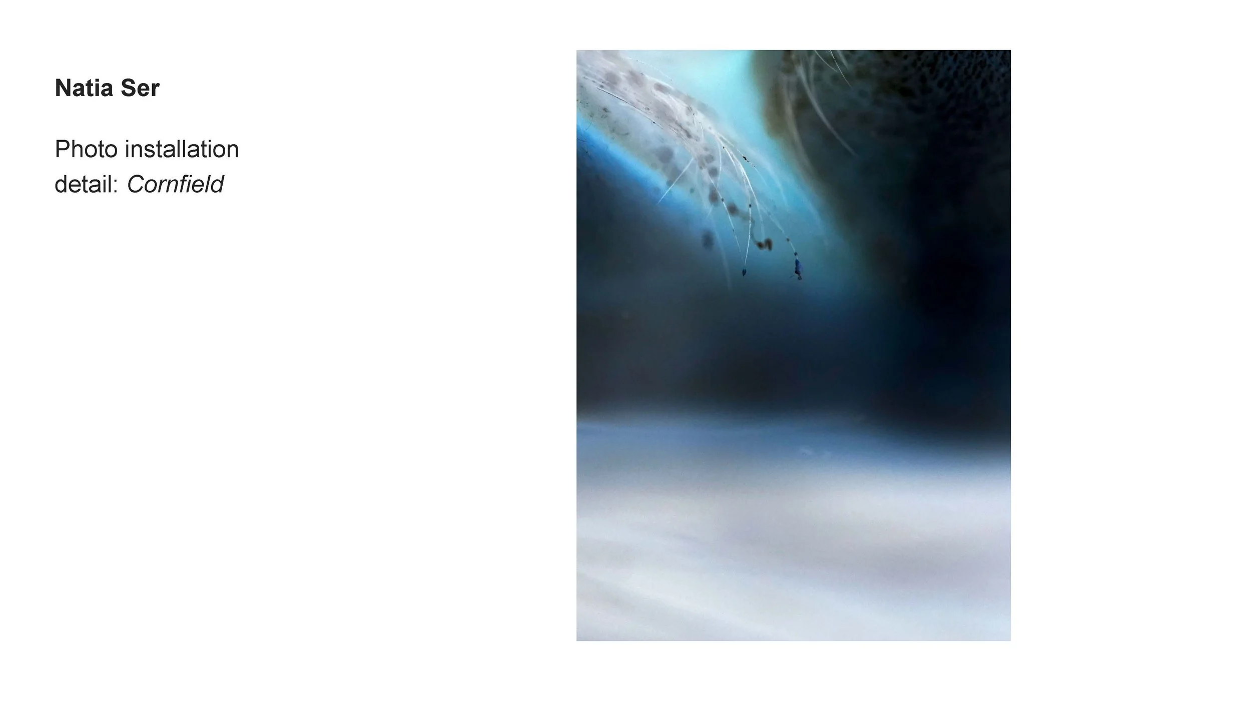 AALANA-BIPOC 2026 Exhibit_Natia Ser_04.jpg