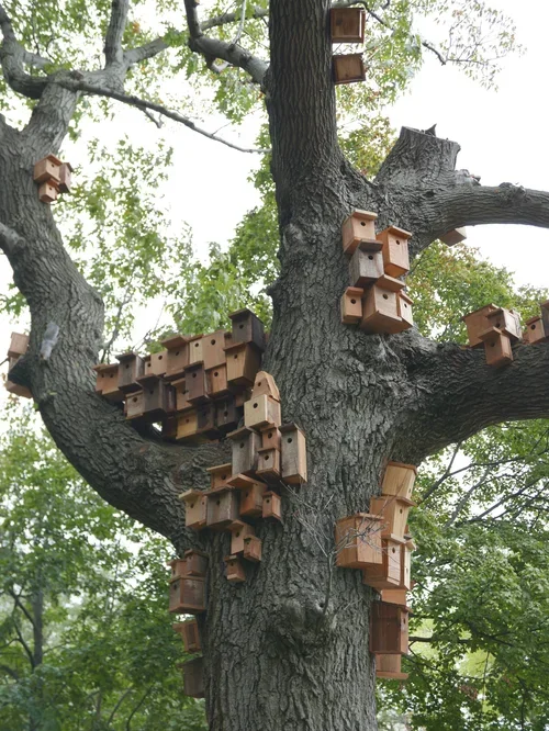 "Nestful", 2017, by Janet Austin and Emily Moorhead-Wallace, Location: Lincoln Park, Chicago, IL 190 reclaimed and repurposed wood birdhouses, dimension variable