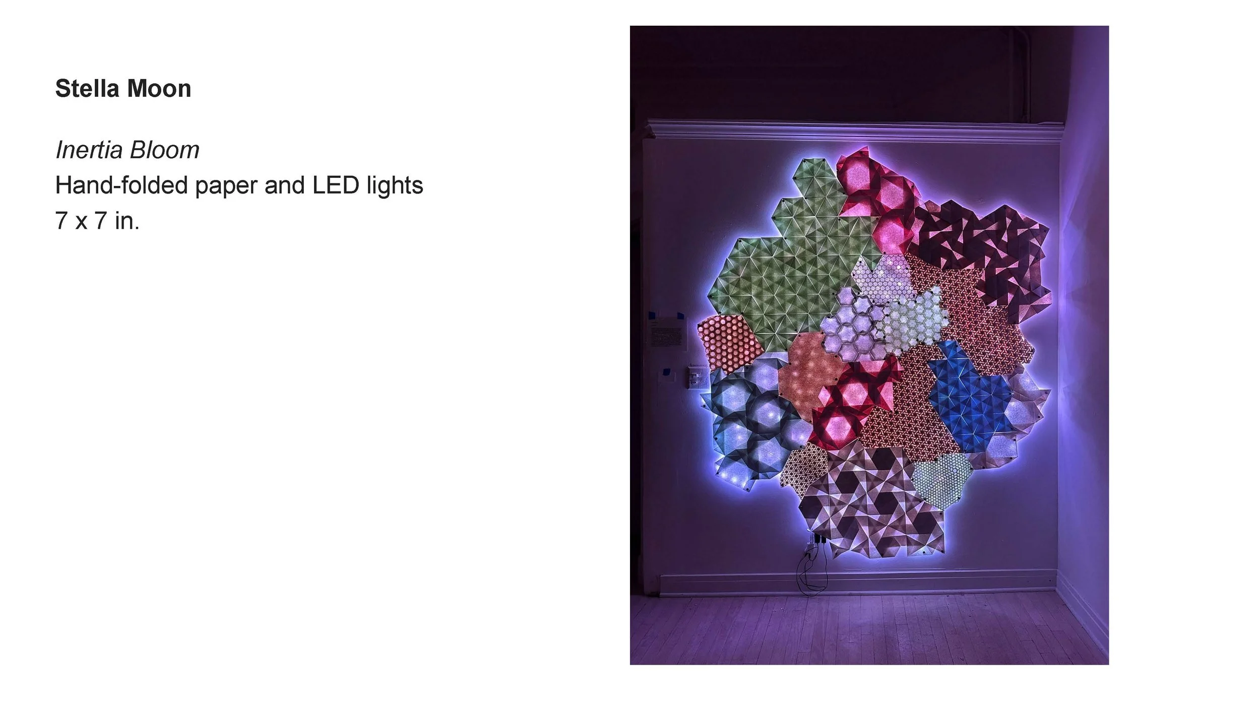 AALANA-BIPOC 2026 Exhibit_Rial Rye_01.jpg