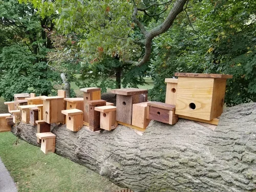 "Nestful" (detail) by Janet Austin and Emily Moorhead-Wallace